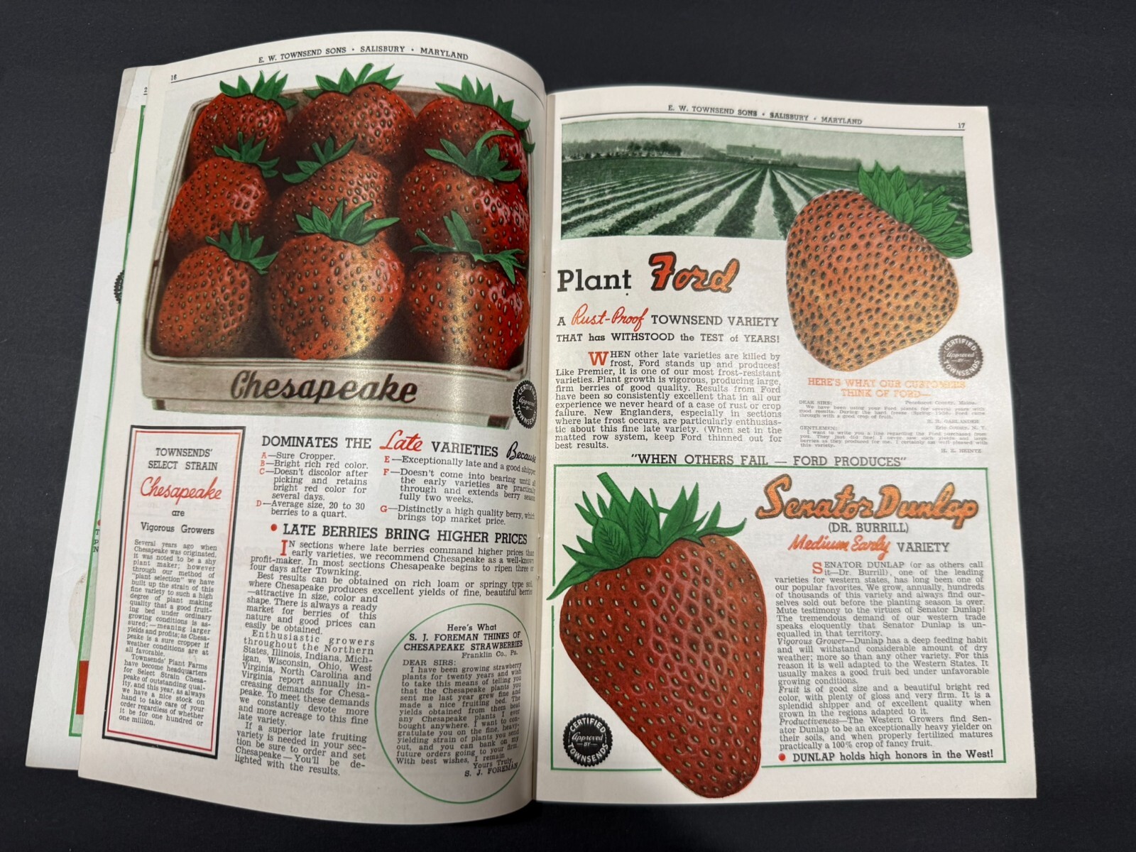 1934-39 Townsend’s & South Michigan Fruit, Flowers, Seed Brochures…..2 Items