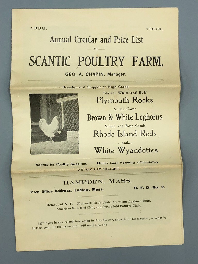 1904 Scantic POULTRY FARM Leghorns CHICKEN RI Red Antique Advertising HAMPDEN MA