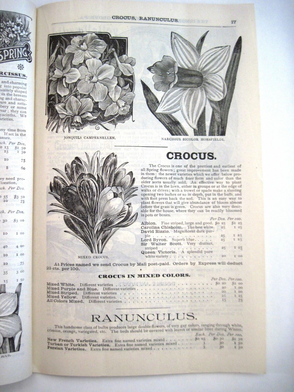 1889 Catalog “New Autumn Guide” for Holland Bulbs, Roses & Lilies & Seeds *