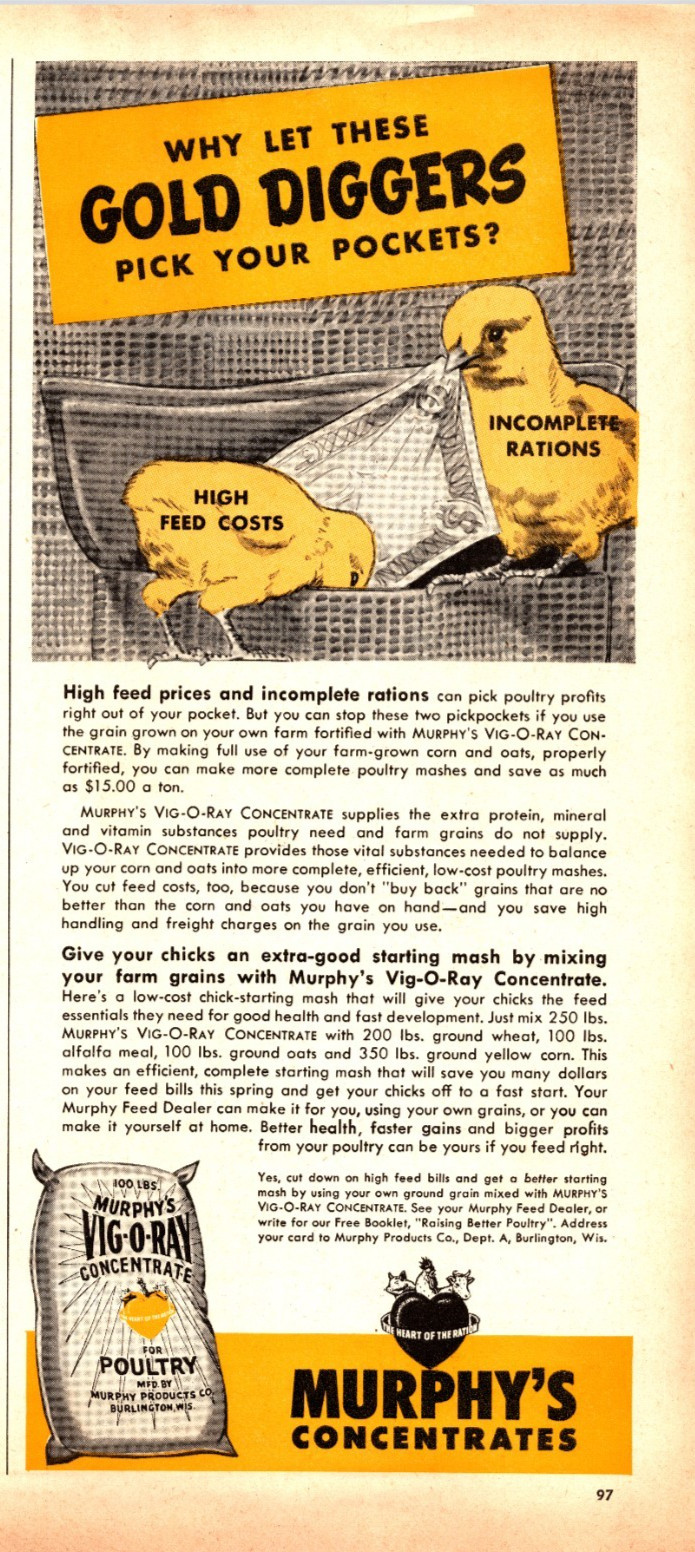 Original 1950 – Murphy’s Concentrates Chicken Feed – Print Ad (5.5in x 12in)