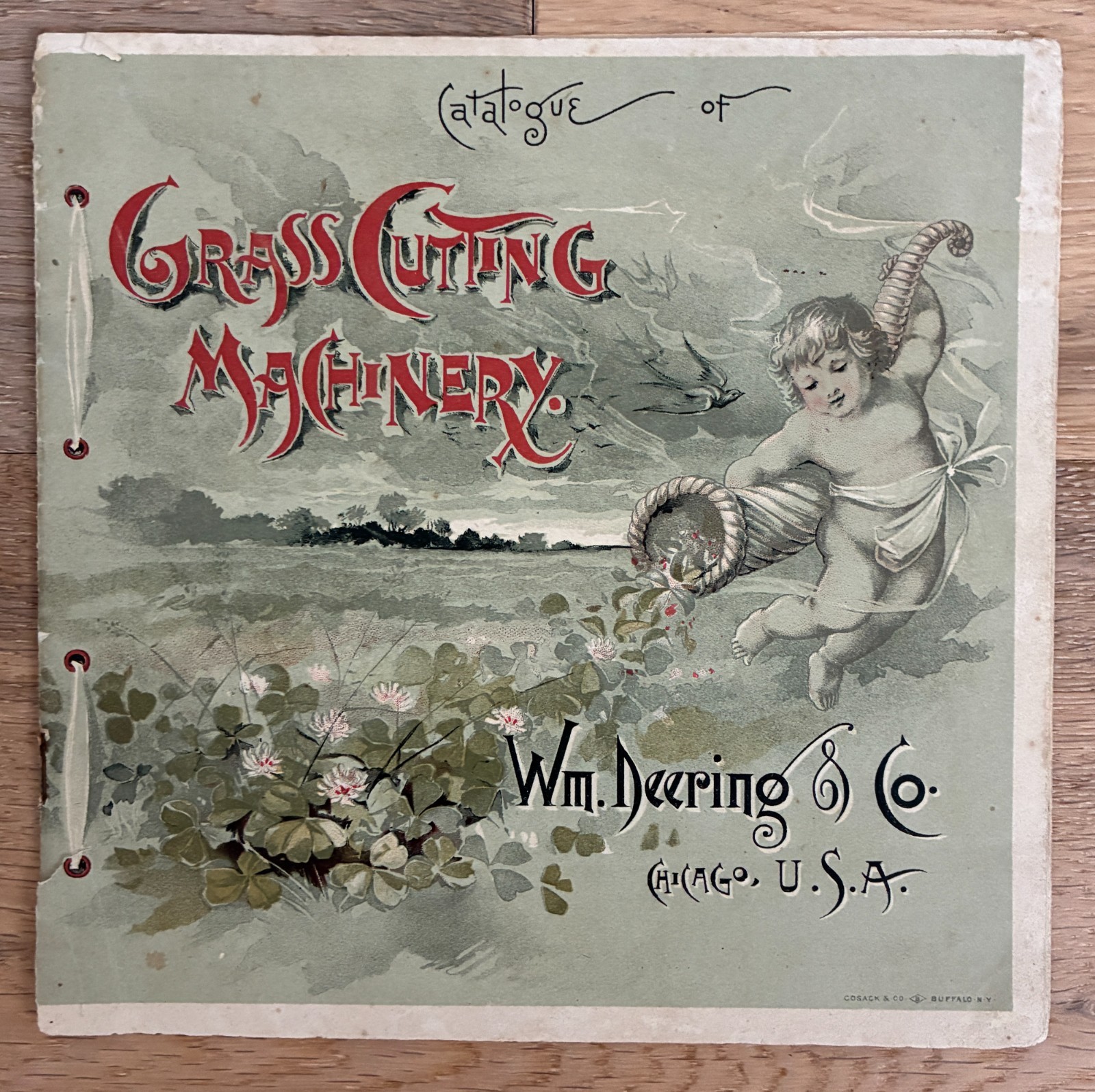 1890 Deering Grass Cutting Machinery Original Catalog