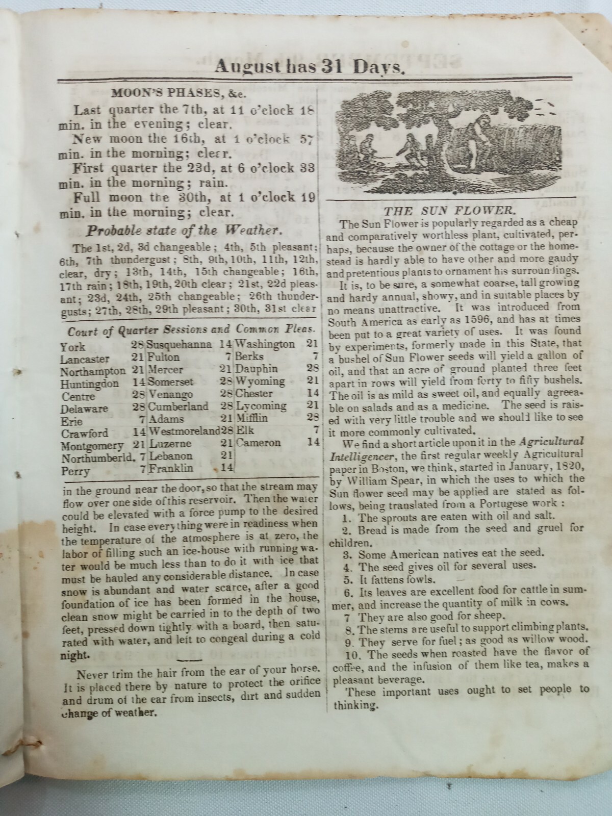 Vintage 1871 John Bear Baer’s Agricultural Almanac Lancaster, PA Antique Farmers