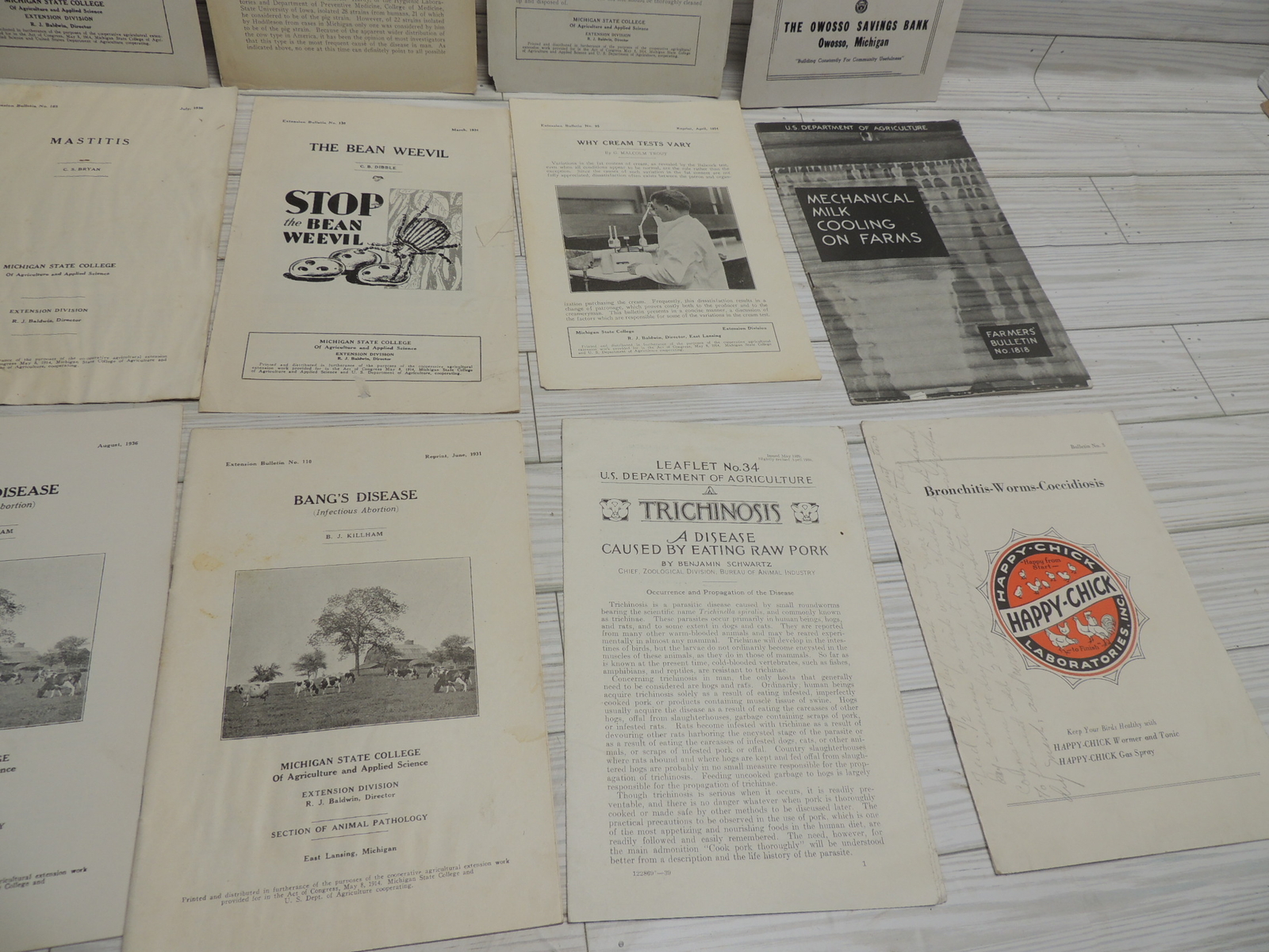 Lg Lot of Michigan State & USDA Bulletins 1920s-1930’s Plus Happy Chick Brochure