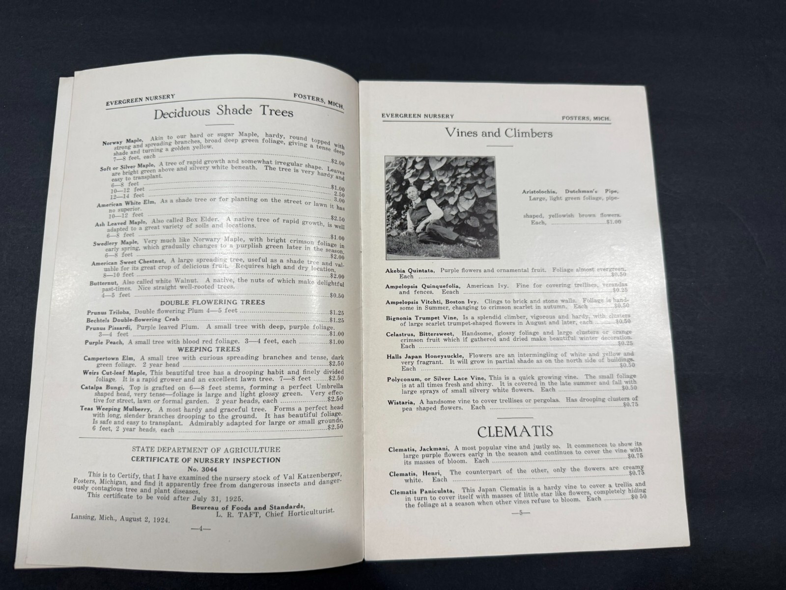 1930’s Evergreen, Van Dusen, Rosedale Nursery Brochures…..4 Items