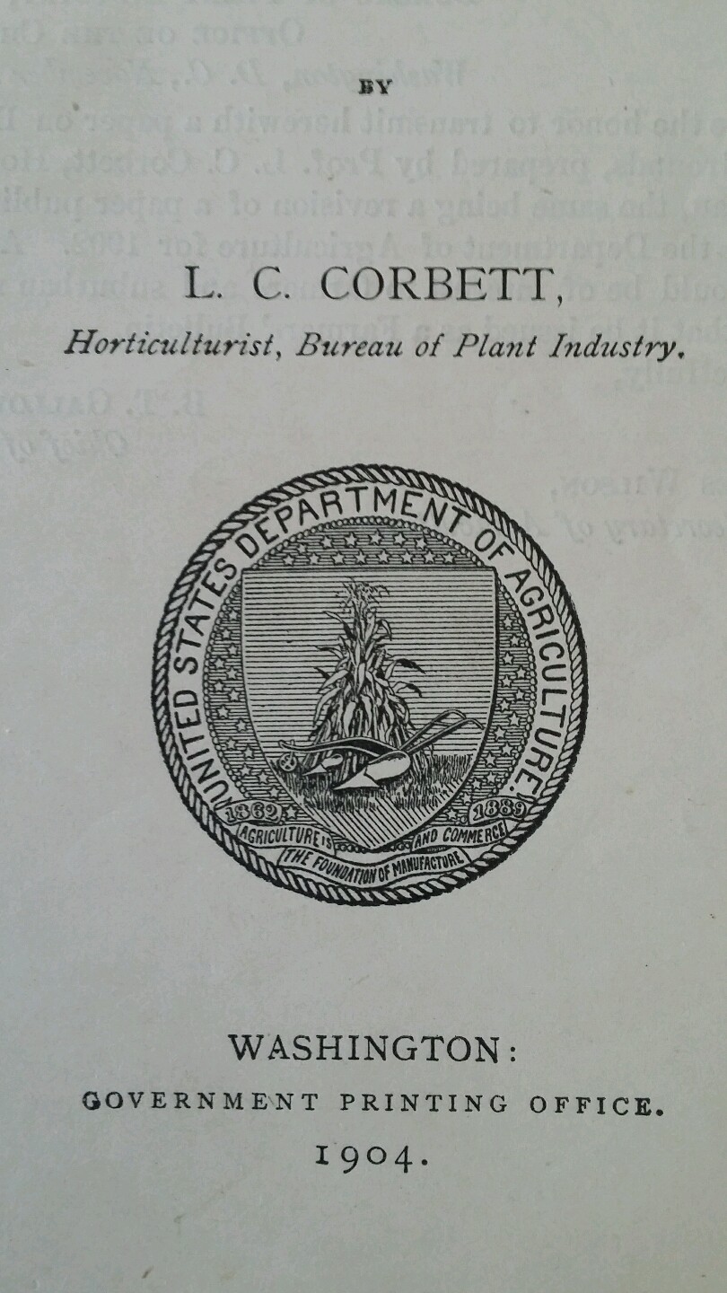 U.S. Department of Ag Vintage 1904 Farmers’ Bulletin #185 Beautify Home Grounds