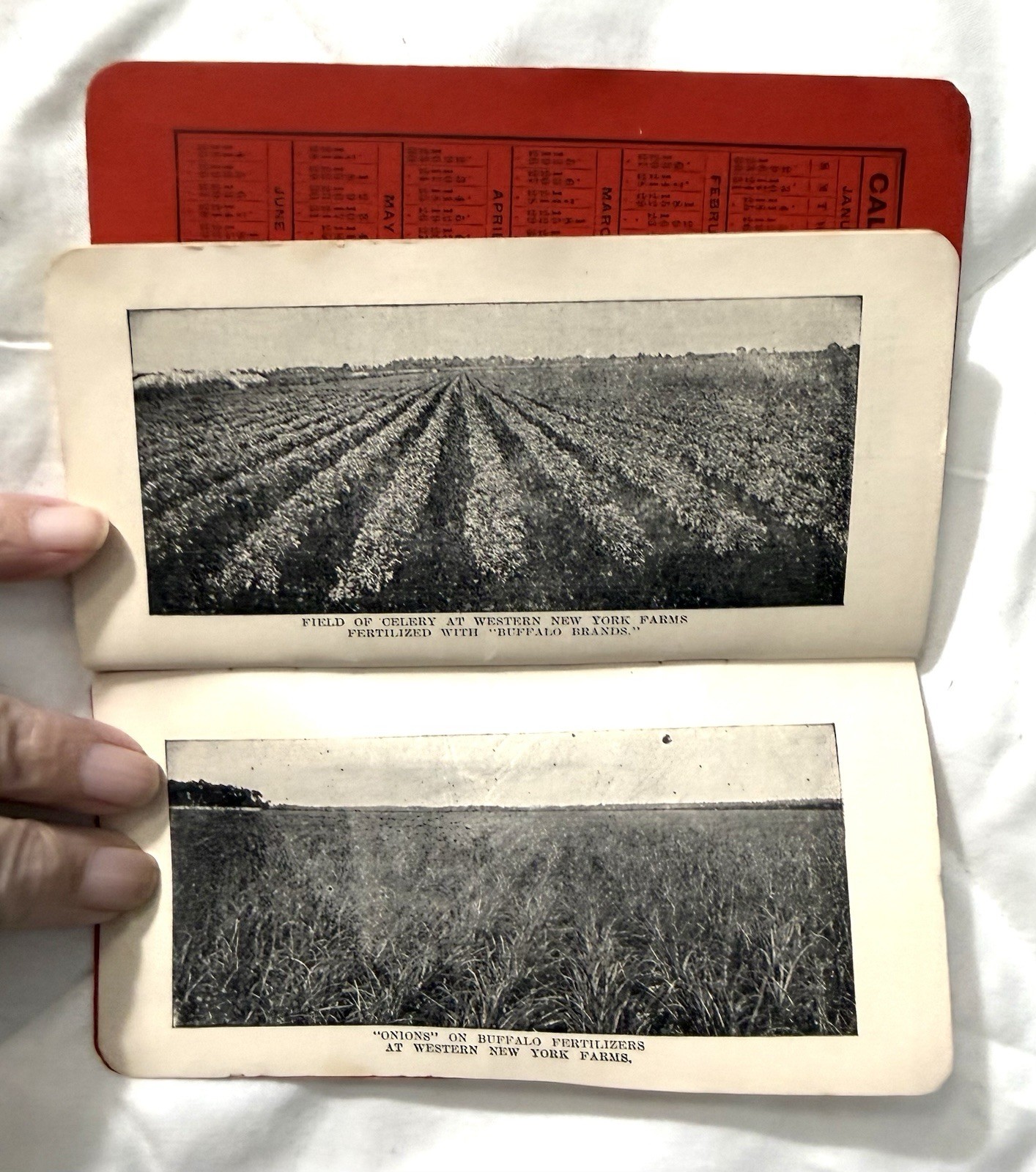 16 Lot of BUFFALO FERTILIZERS Advertising Memo Booklets, 1906-1926