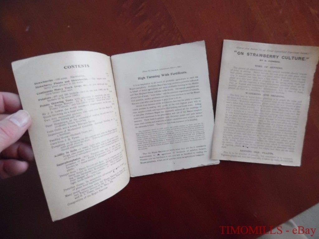 1903 Mapes Peruvian Guano Fertilizer Vegetable Market Garden Catalog Brochure