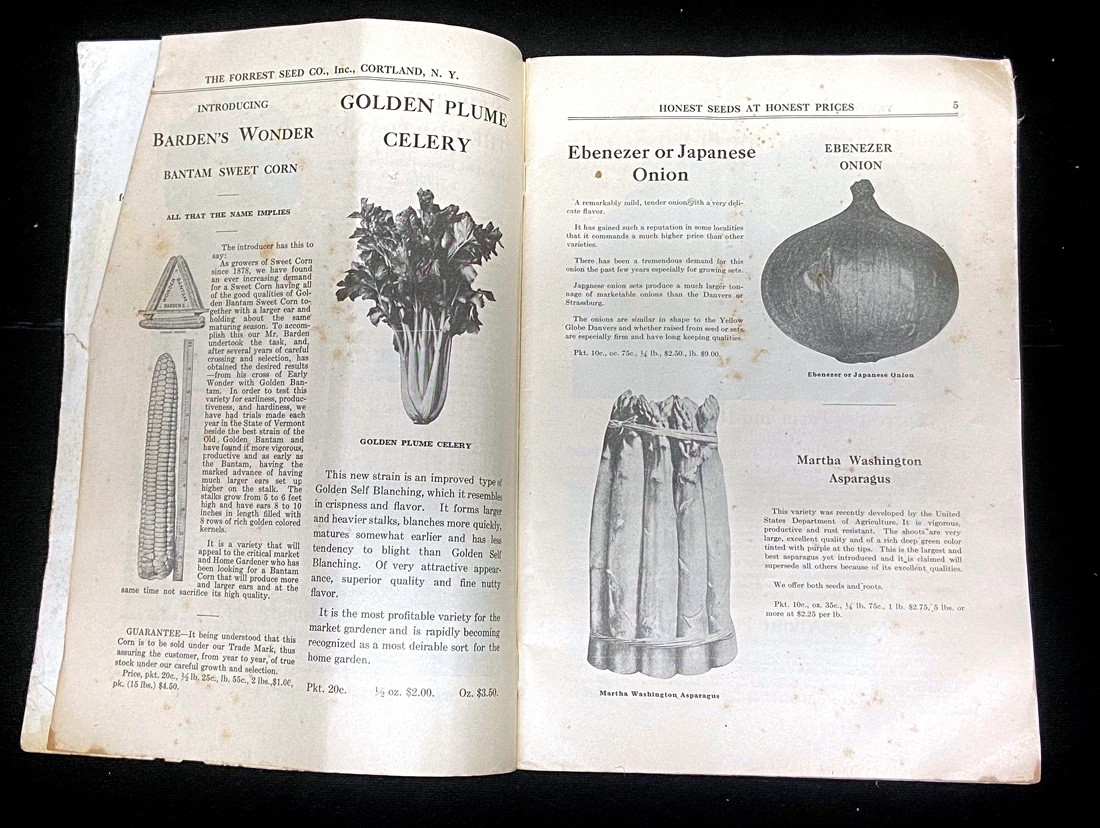 1925 and 1926 FORREST’S HONEST SEEDS – FORREST SEED CO CATALOGUES – TWO Each 72p