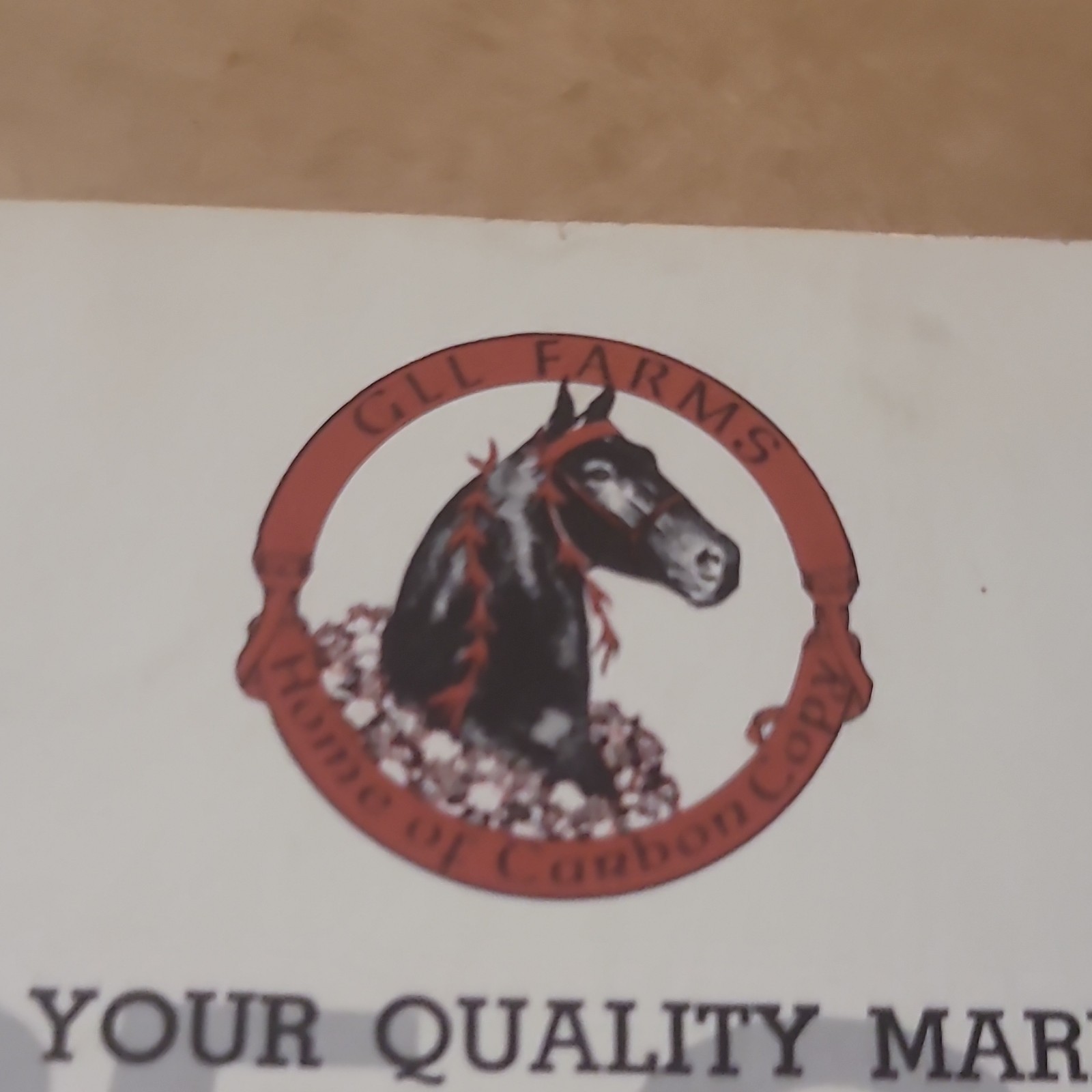 GLL Farms Carbon Copy Show Horse Breeding Brochure, Multicolor