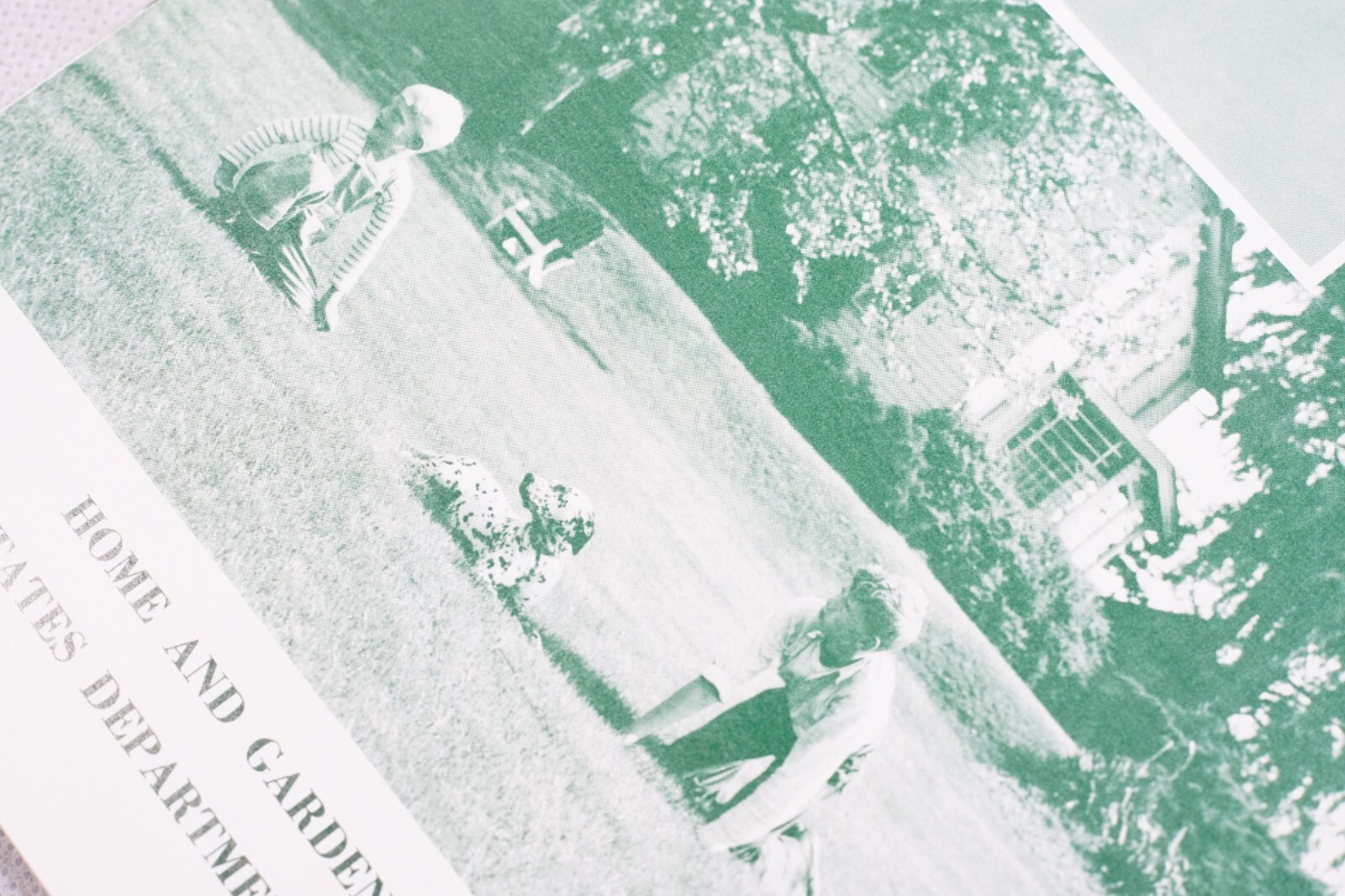 Better Lawns by Home and Garden No.51 Agricultural Vintage 1971 Brochure