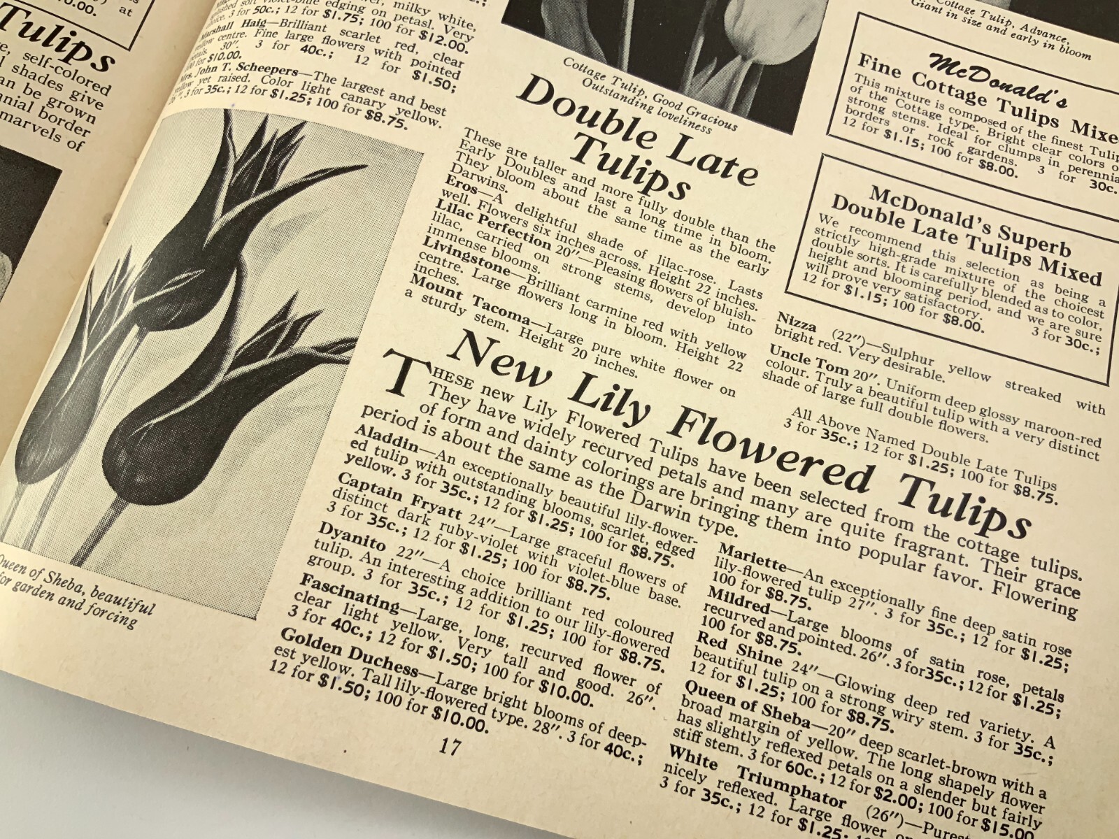 McDonald’s Seeds Plants Bulbs Catalogue Fall 1961 Catalog Ottawa Canada EE630