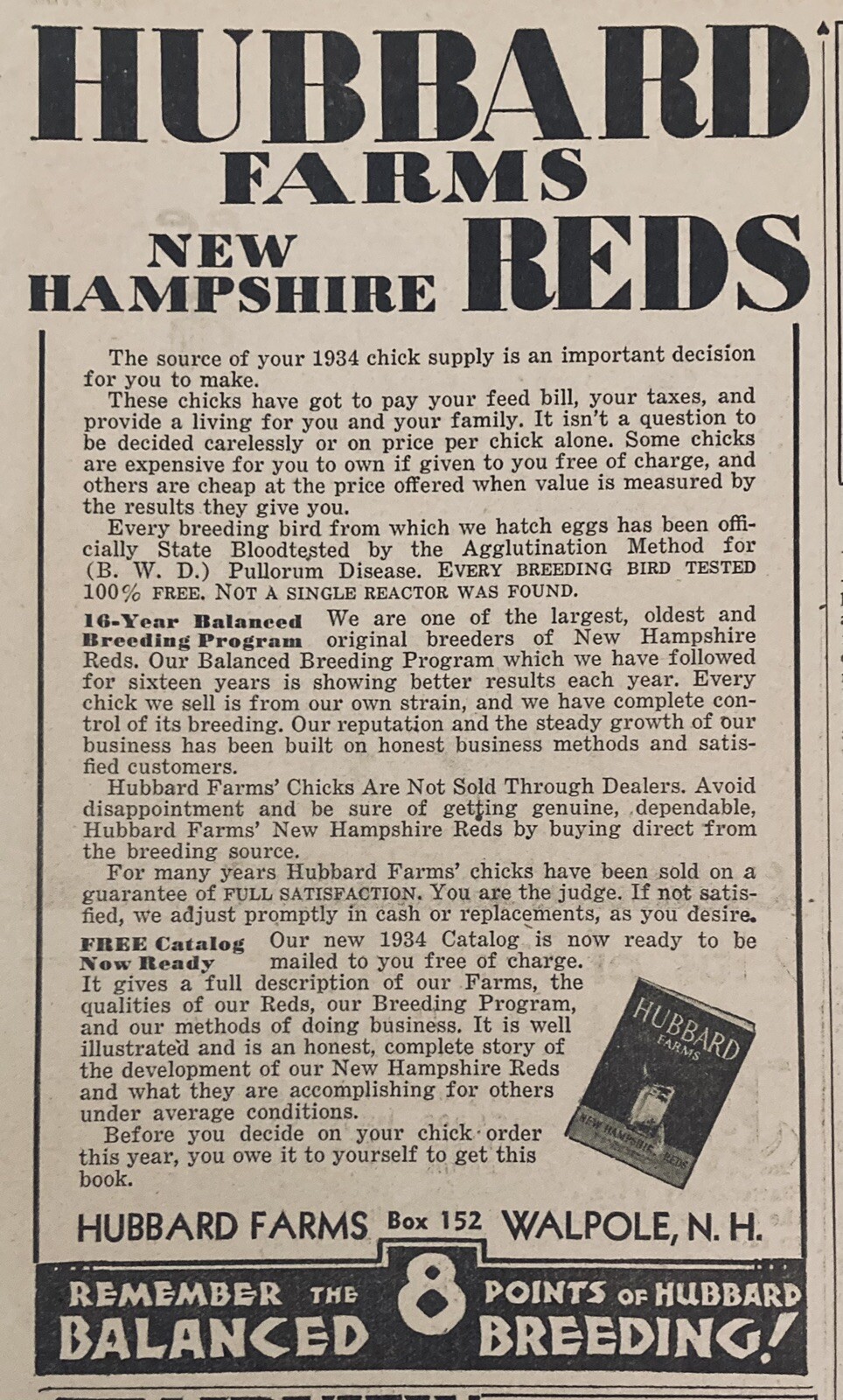 1934 AD(XH51)~HUBBARD FARMS, WALPOLE, NH. NEW HAMPSHIRE REDS BABY CHICKS