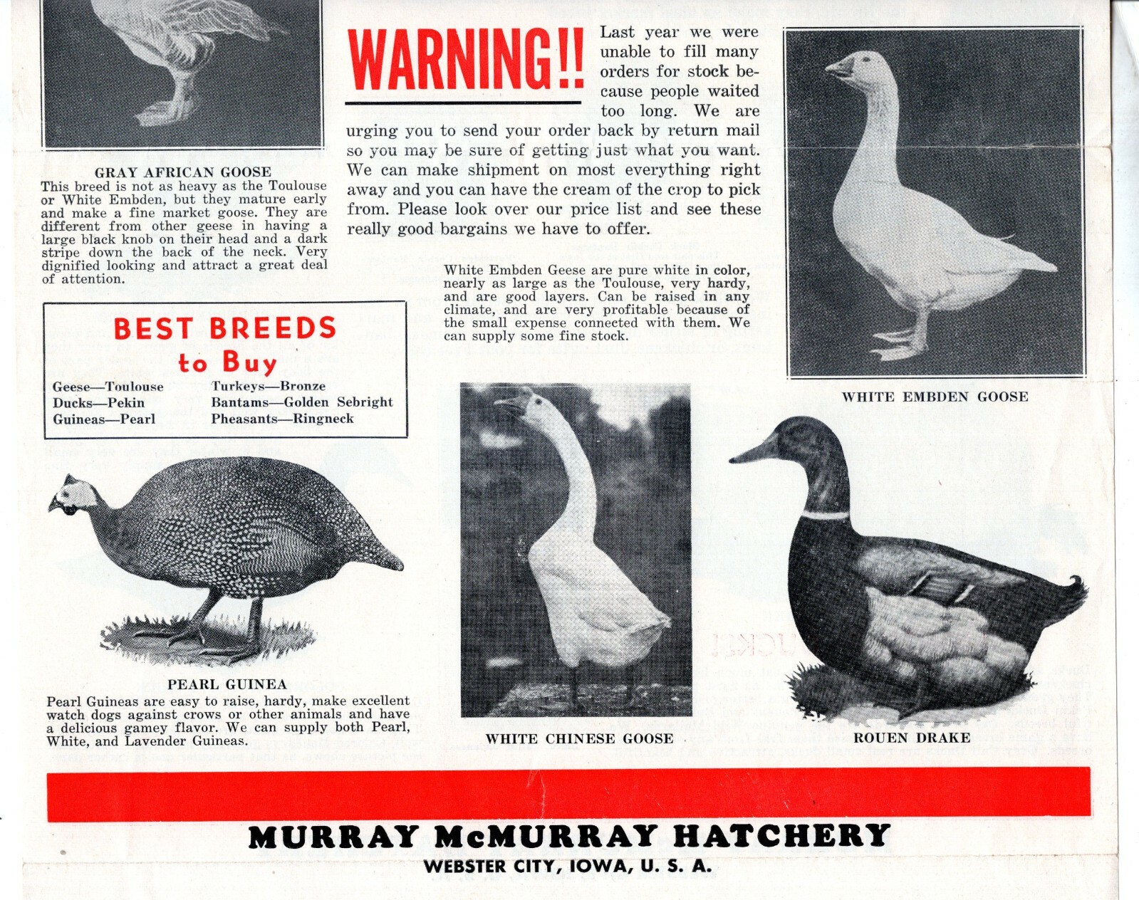 McMURRAY HATCHERY Ducks BANTAM Turkey 1940’s Catalog Brochure Webster City IA