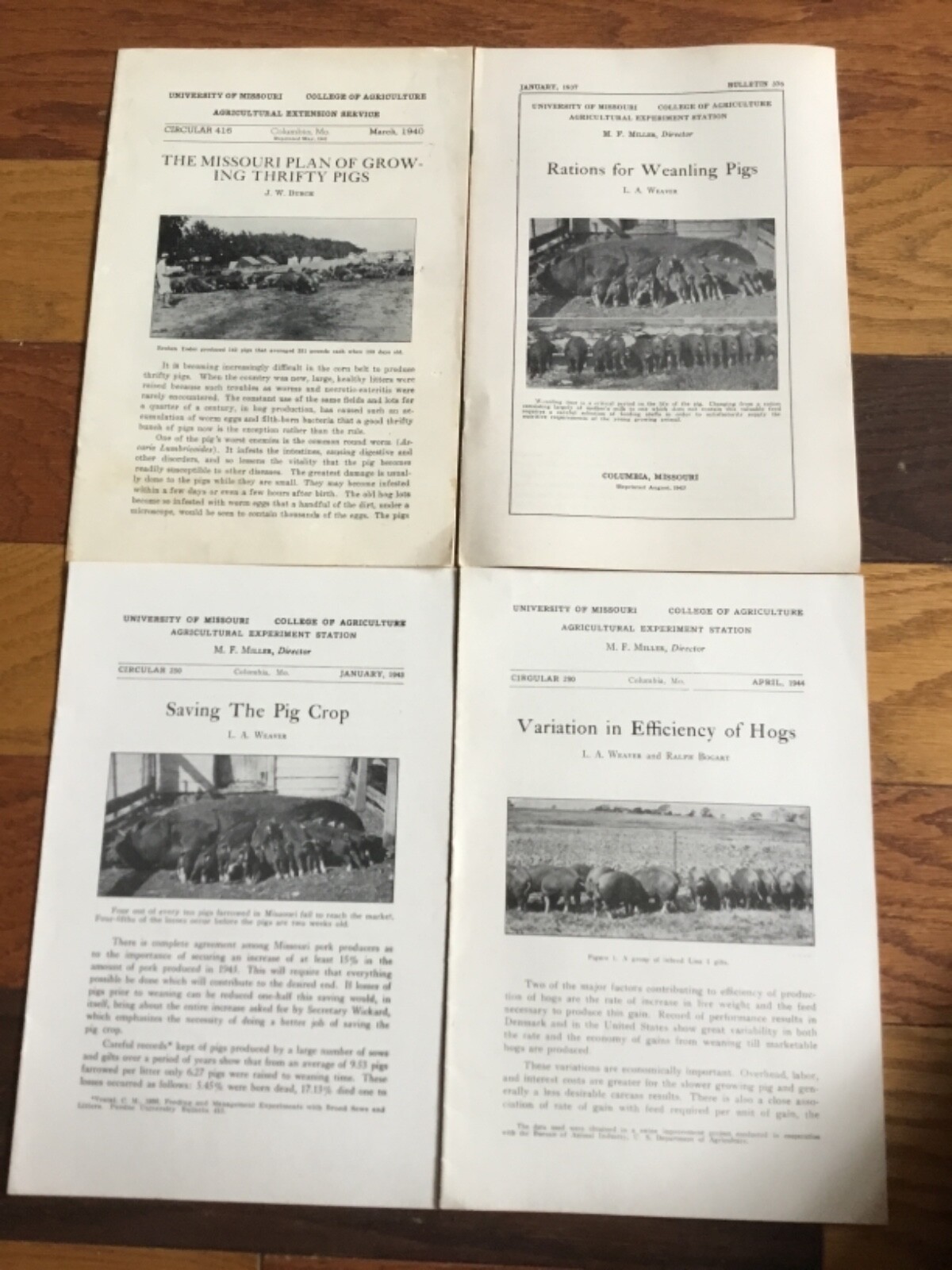 WWII Era Brochure x4 Univ. of MO Hog farming, weaning, efficiency + 1930’s-40’s