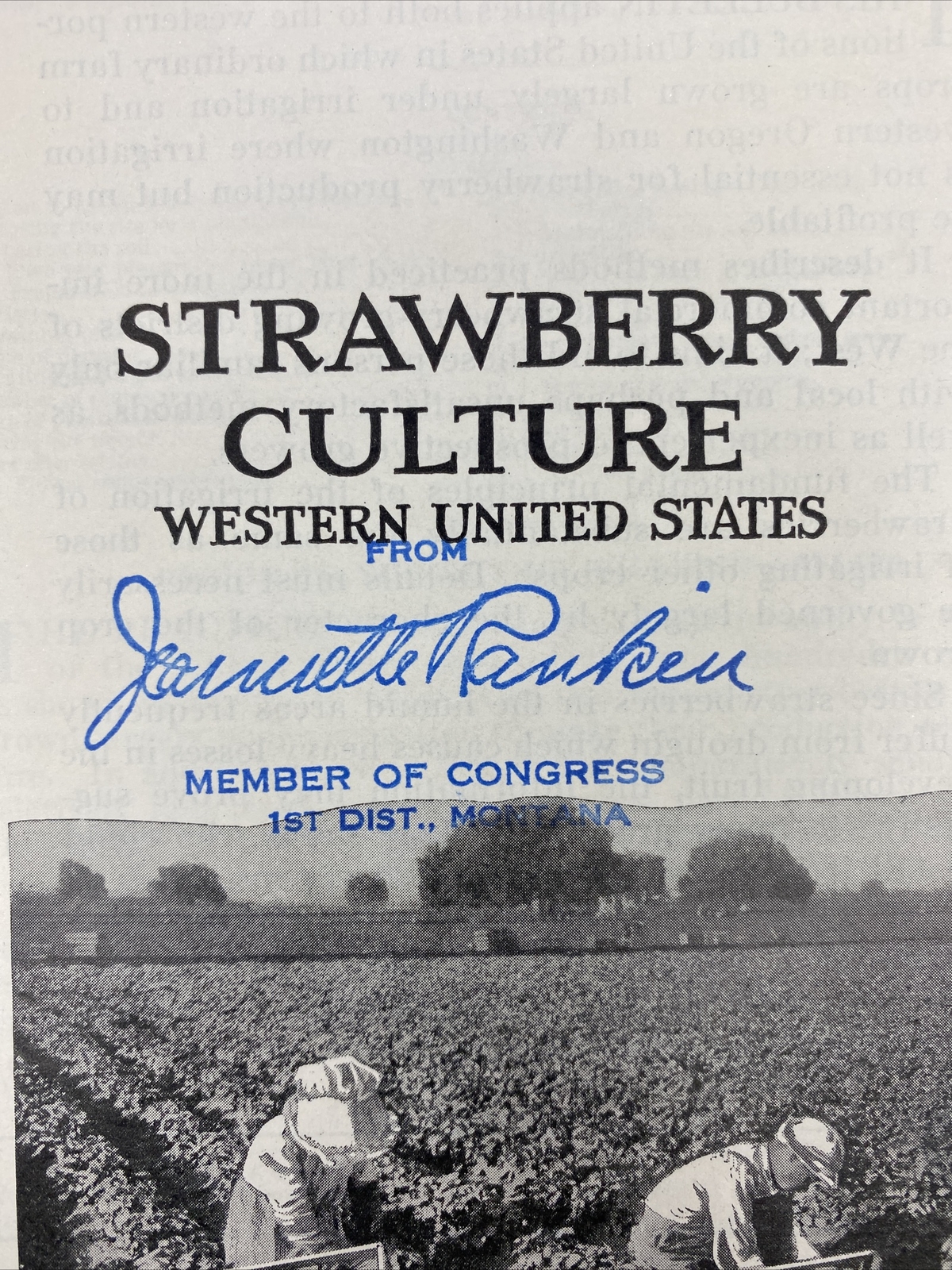 1936 USDA Farmers’ Bulletin No. 1027 Strawberry culture western united states