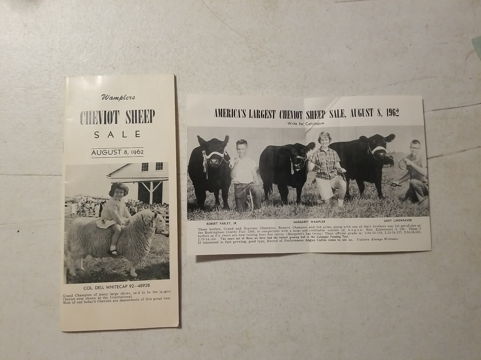 Vintage 1962 Wampler’s Cheviot Sheep Sale Catalog & Flyer. Harrisonburg, VA