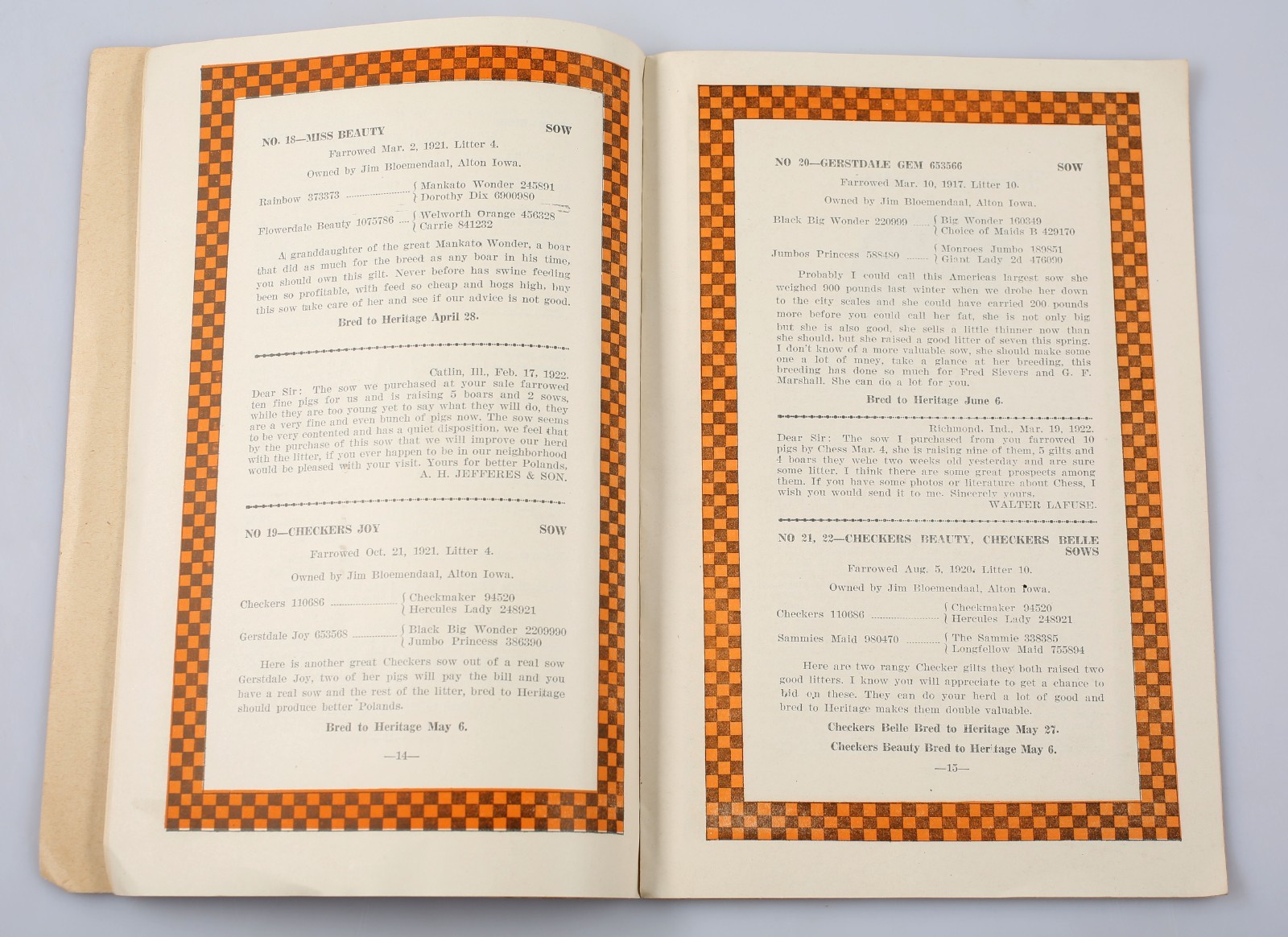 Vintage 1922 Heritage and Chess Poland China’s Sow Hog Sale Program Alton Iowa