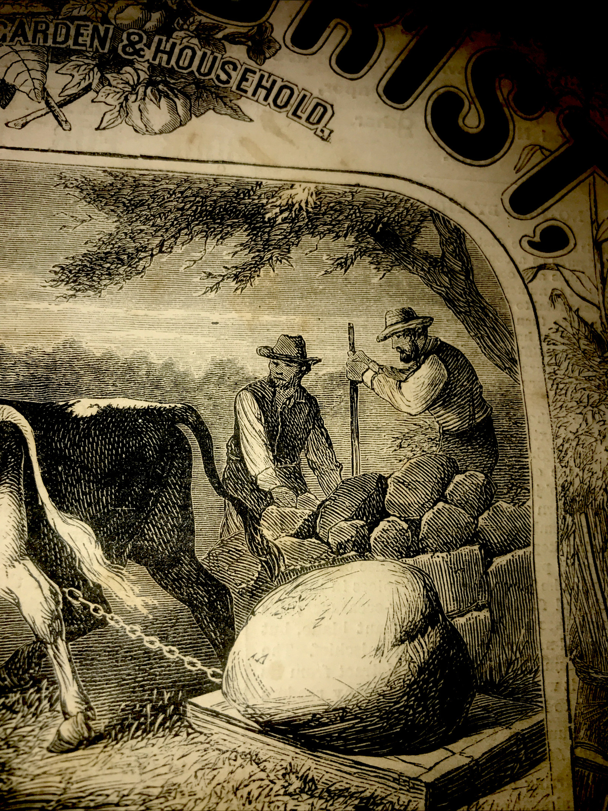 ORIGINAL 1872 Settler Farm Engraving Advertising
