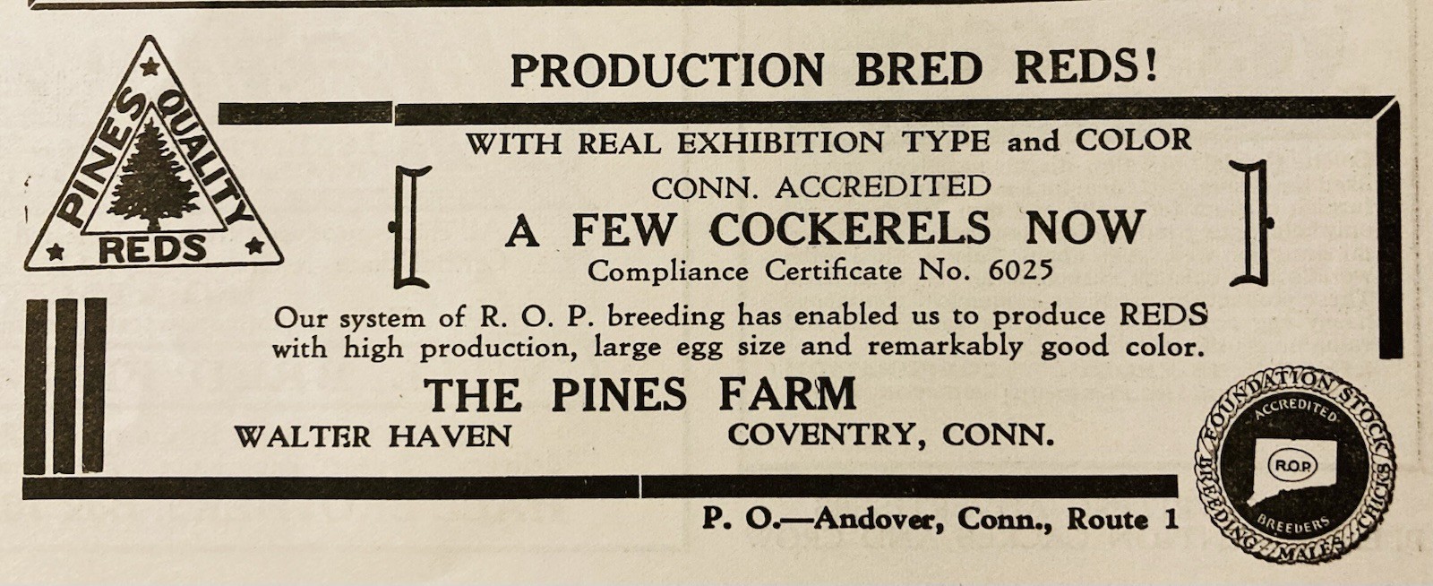 1934 AD.(XH82)~PINES FARM, COVENTRY, CONN. PINES QUALITY REDS POULTRY