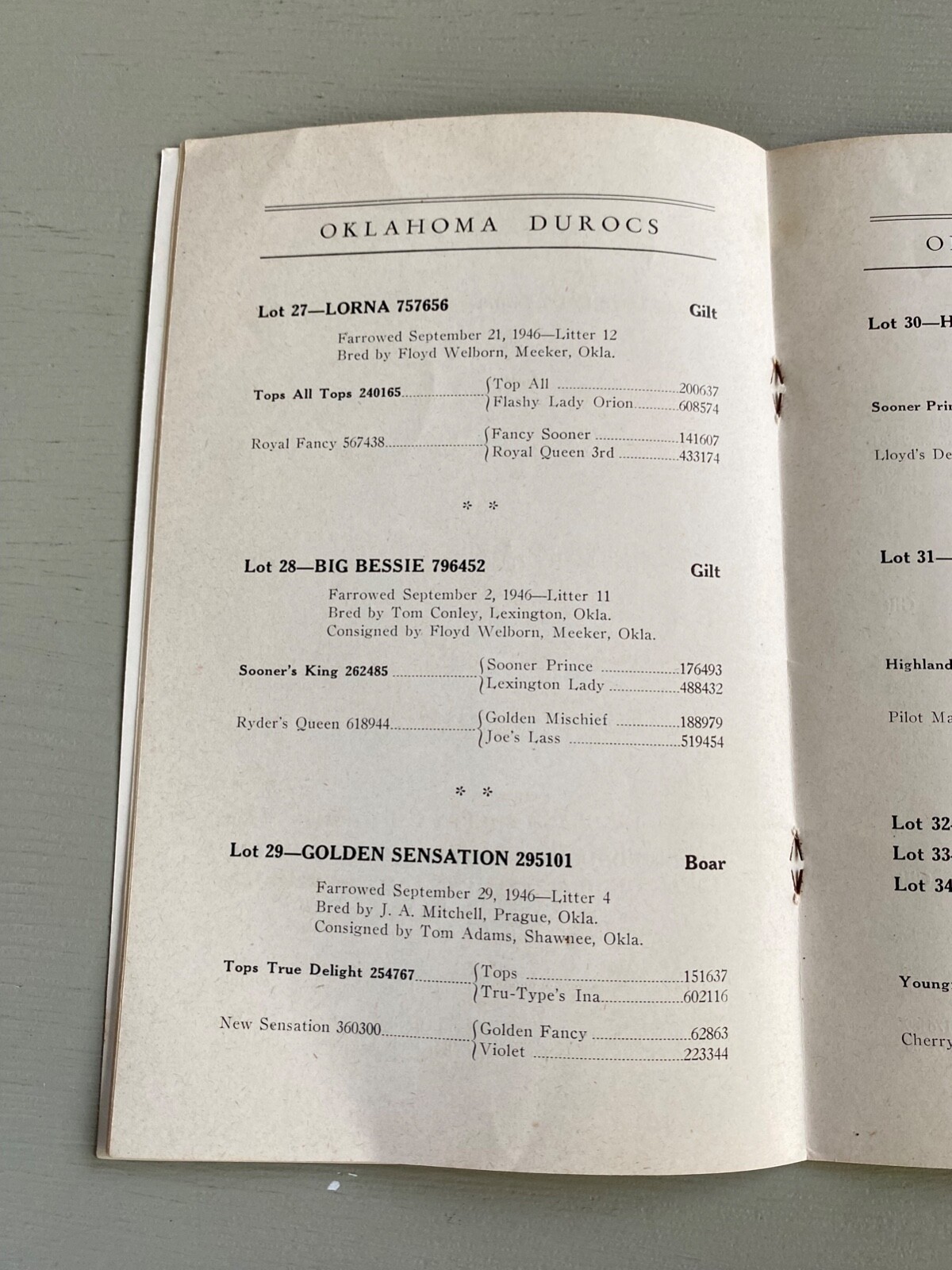 Vintage Durocs Hogs Pig Sale Catalog Book Oklahoma City OK 1947 Farm Ag Ephemera