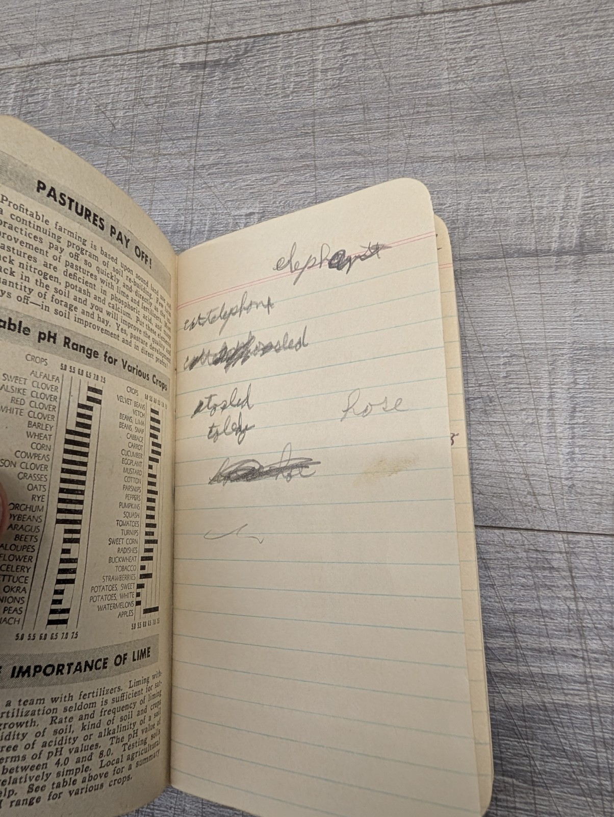 1952-1953 Armour’s Fertilizer & Vertagreen Plant Food Pocket Notebook Calendar