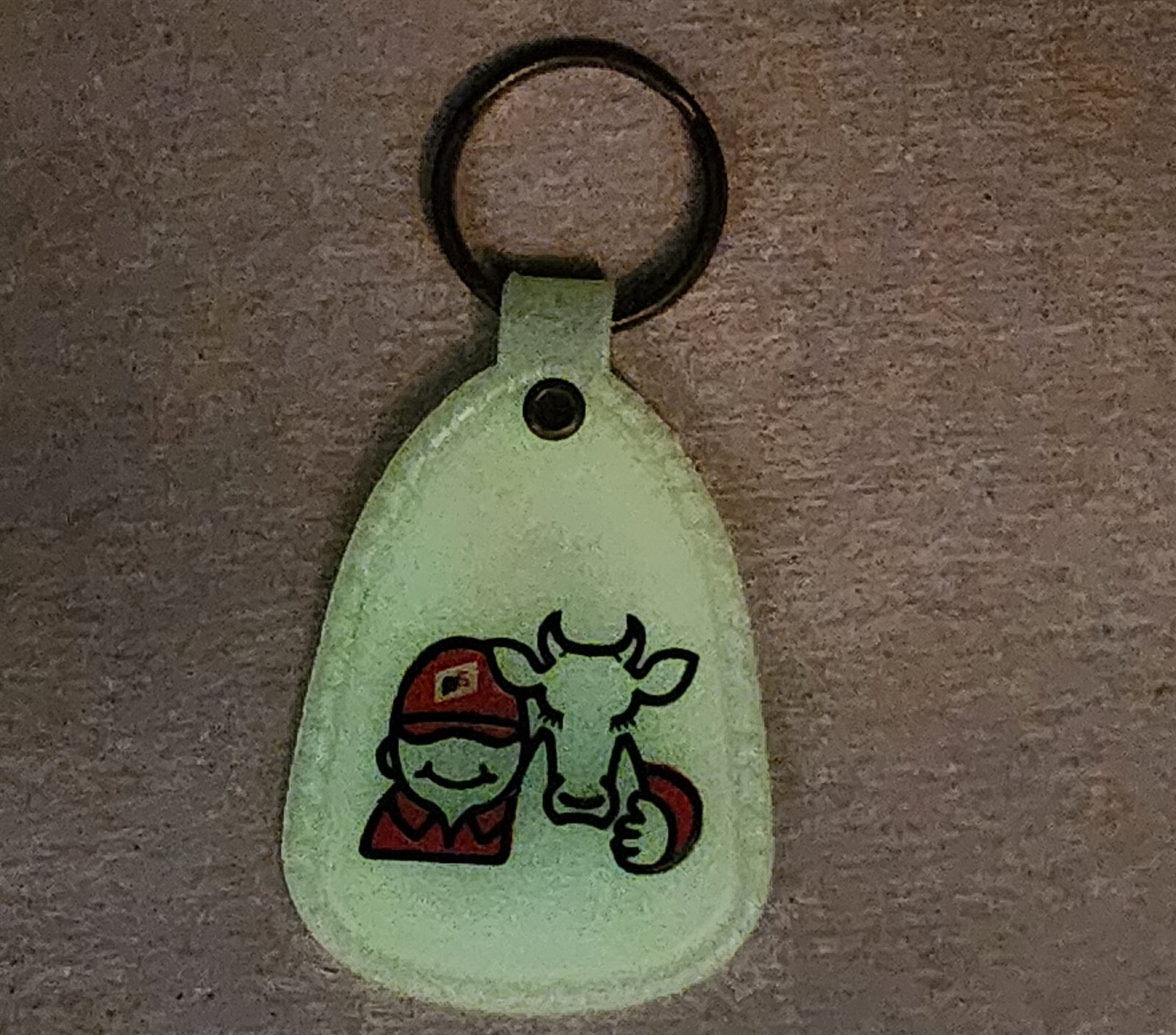 VINTAGE FS MCCLEAN COUNTY SERVICE KEYCHAIN BLOOMINGTON IL GLOW IN THE DARK 3″