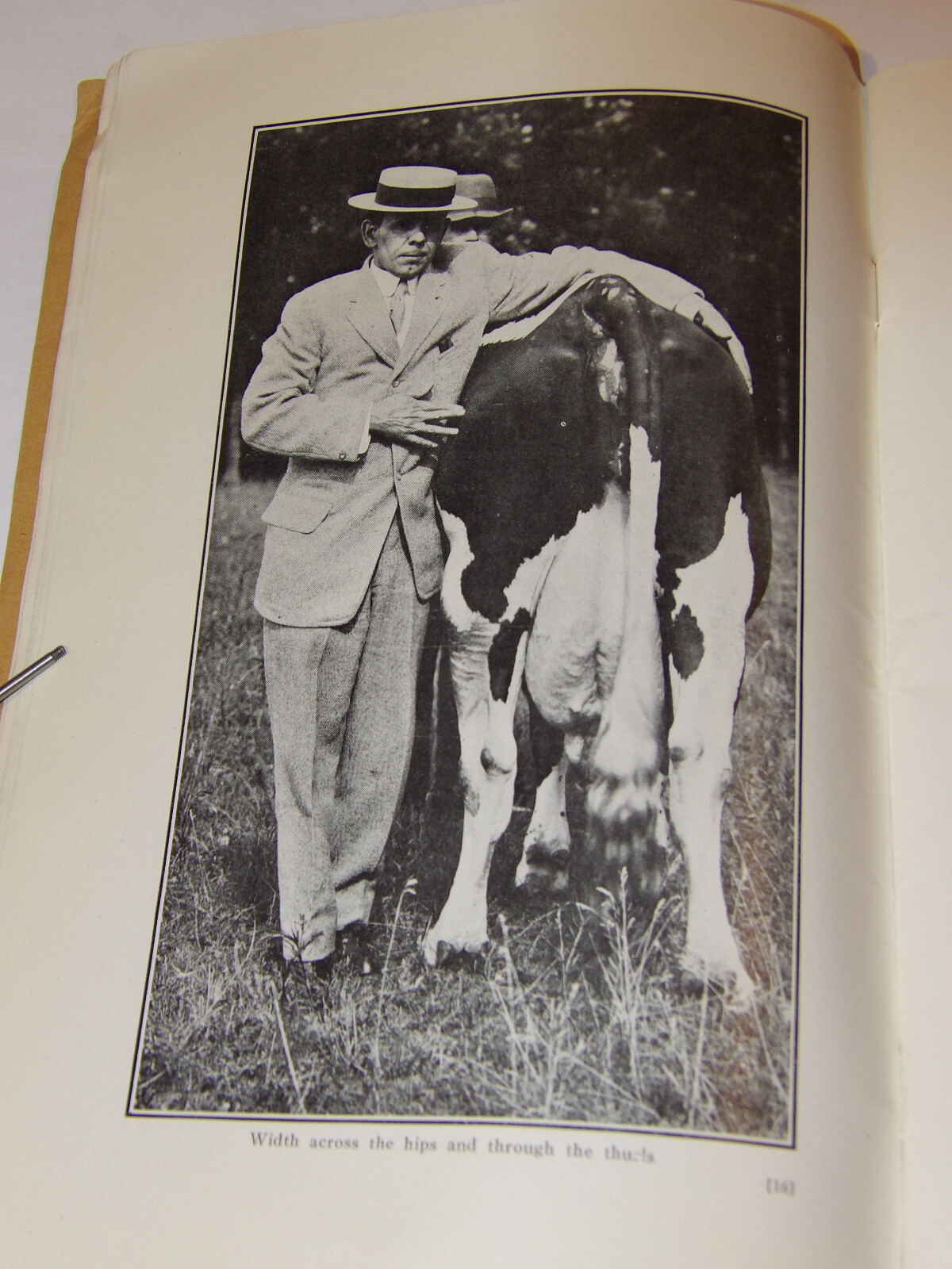 1911 VAN PELT’S COW DEMONSTRATION BOOK! 1st EDITION! ILLUSTRATED! 5 ESSENTIALS!
