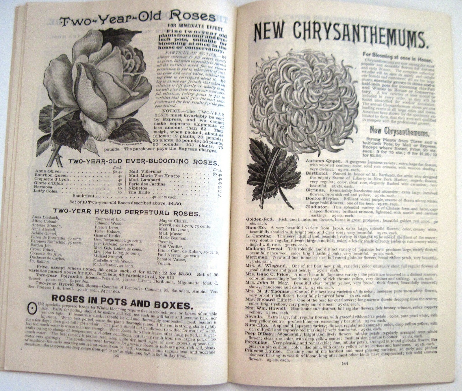 1889 Catalog “New Autumn Guide” for Holland Bulbs, Roses & Lilies & Seeds *