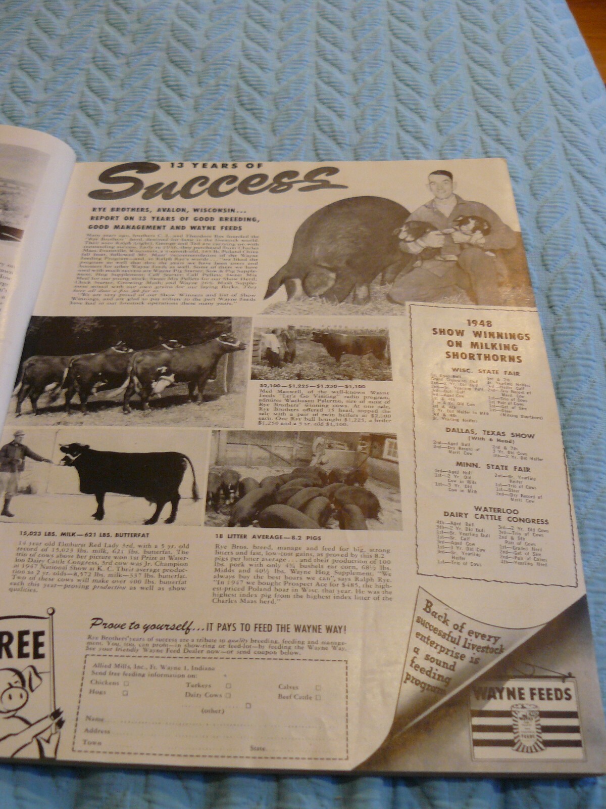 THE FARM -AD- AUTUMN 1949 WAYNE FEEDS – DAIRY & HOGS