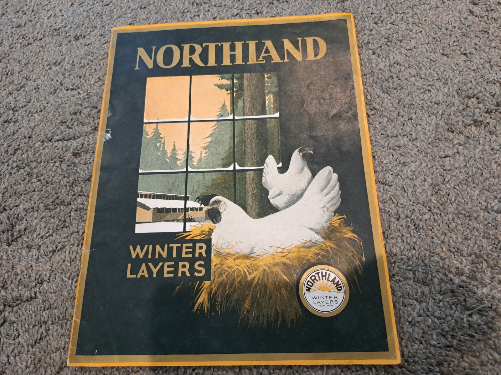 1928 Northland Winter Layers Poultry Catalog Chickens