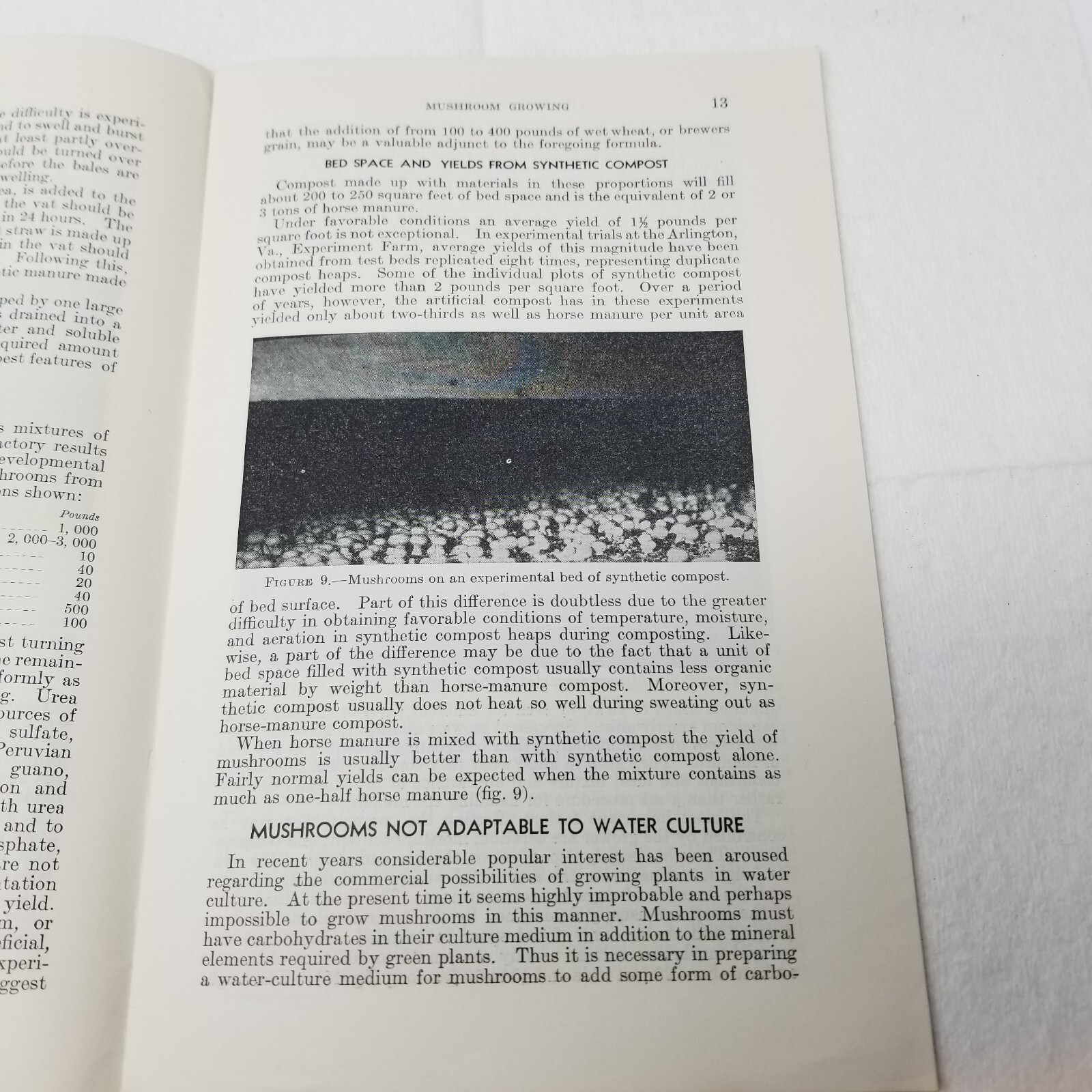 Mushroom Growing 1941 Farmers’ Bulletin Booklet 1875 USDA Photos Charts