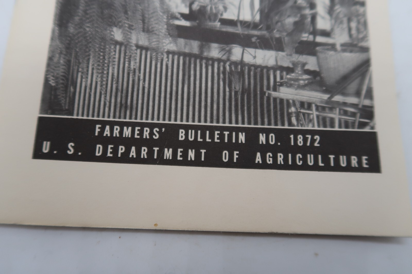 1941 USDA Farmers’ Bulletin No. 1872 House Plants Ephemera Furman Lloyd Mulford