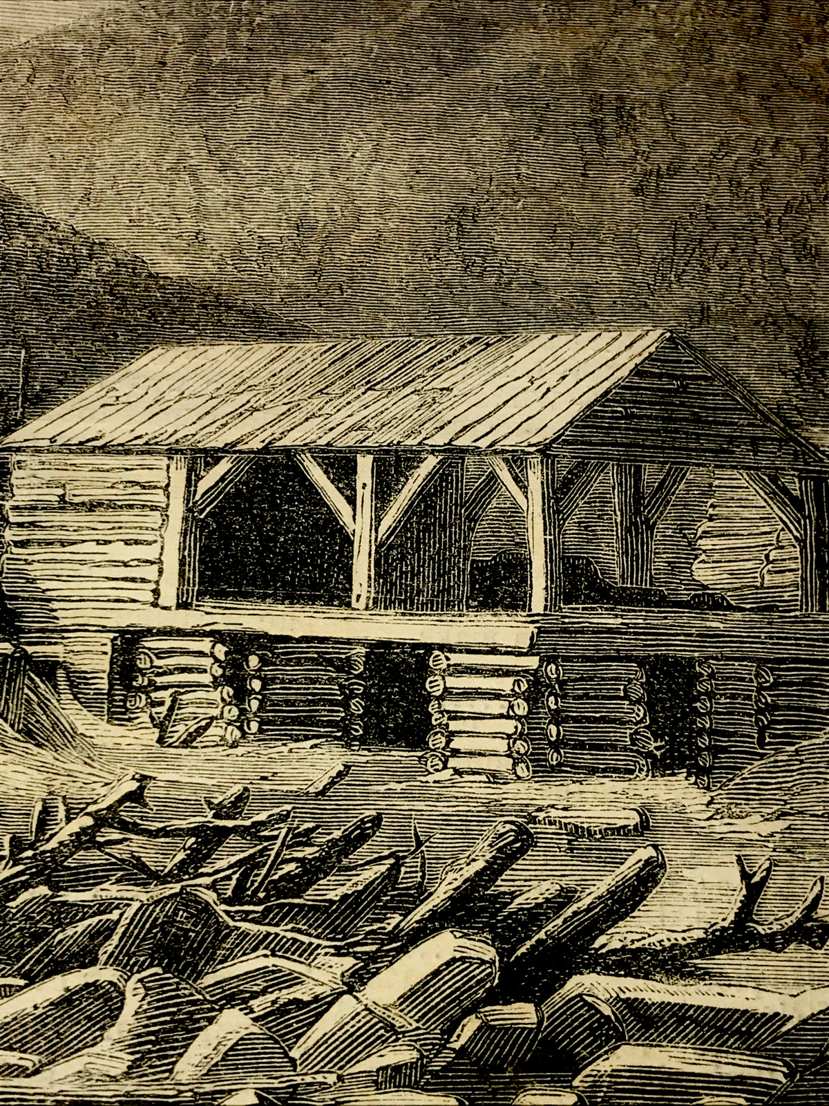 ORIGINAL 1872 THE BREAKING UP OF THE ICE Settler Farm Engraving Advertising