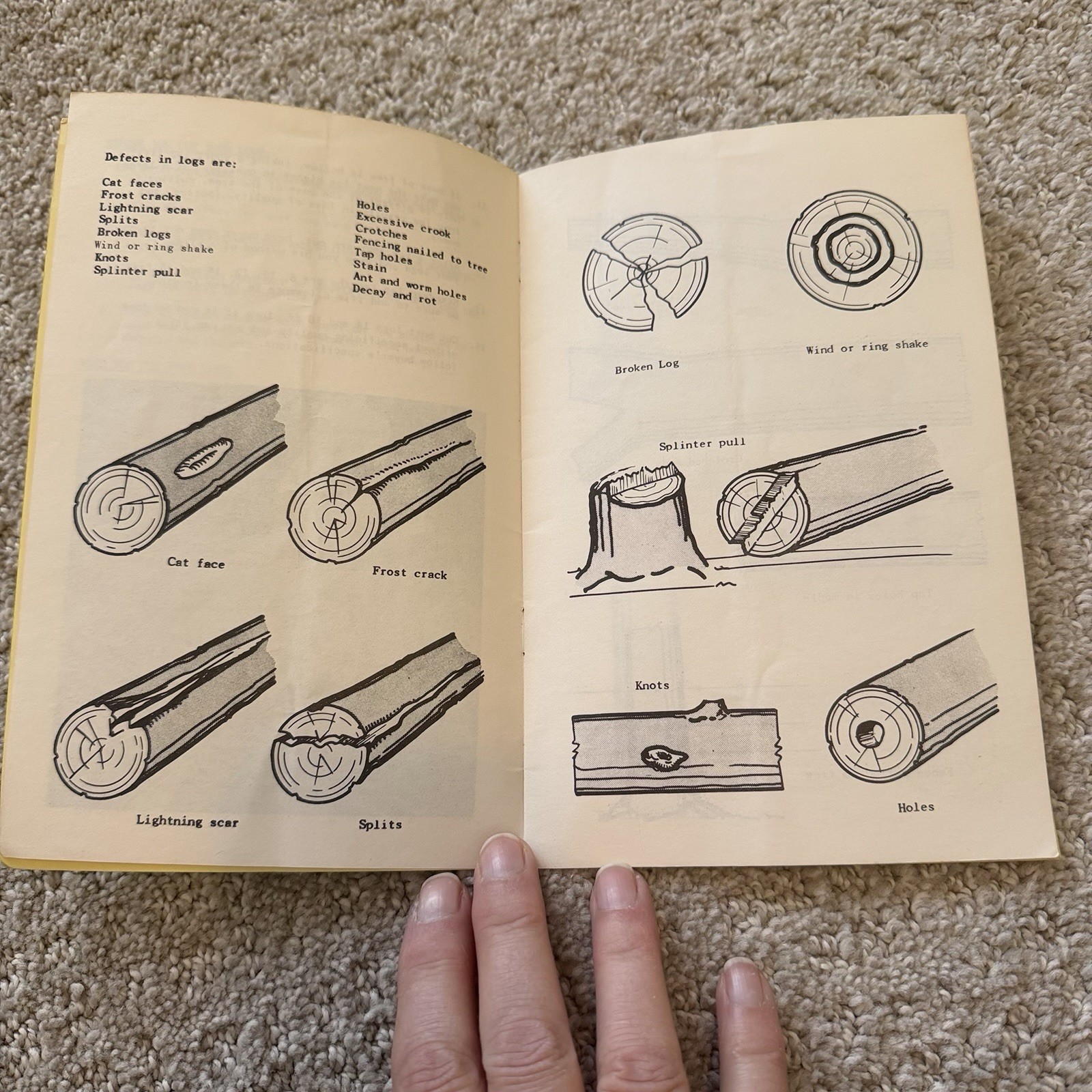 Vintage McCulloch Chainsaw Brochure More Money For Your Logs When Properly Cut
