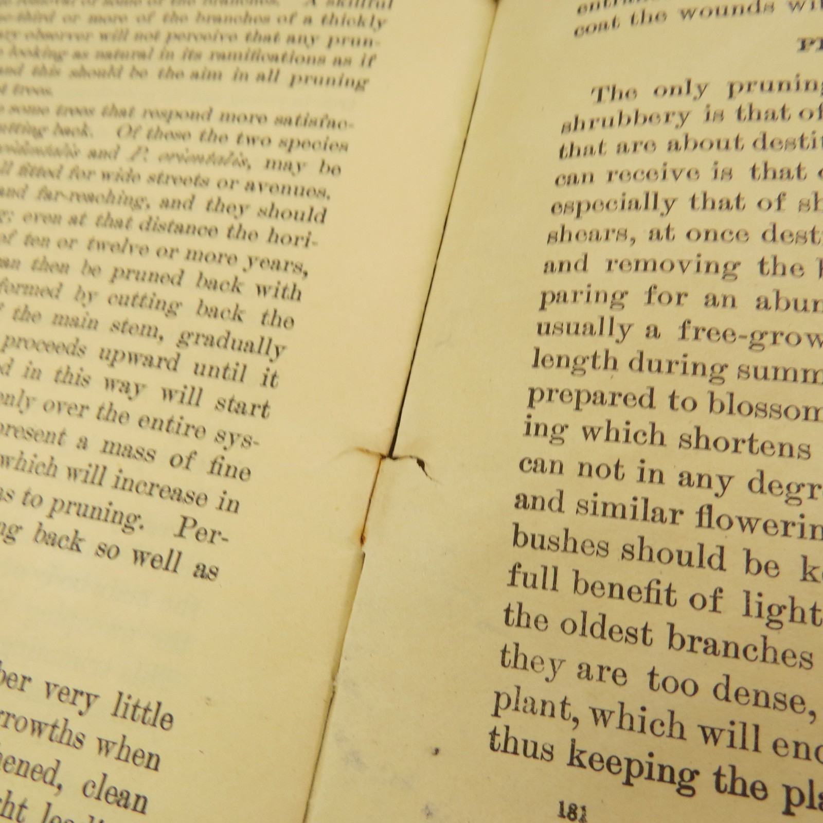 US Department of Agriculture, Farmers’ Bulletin No. 181 Pruning – 1916