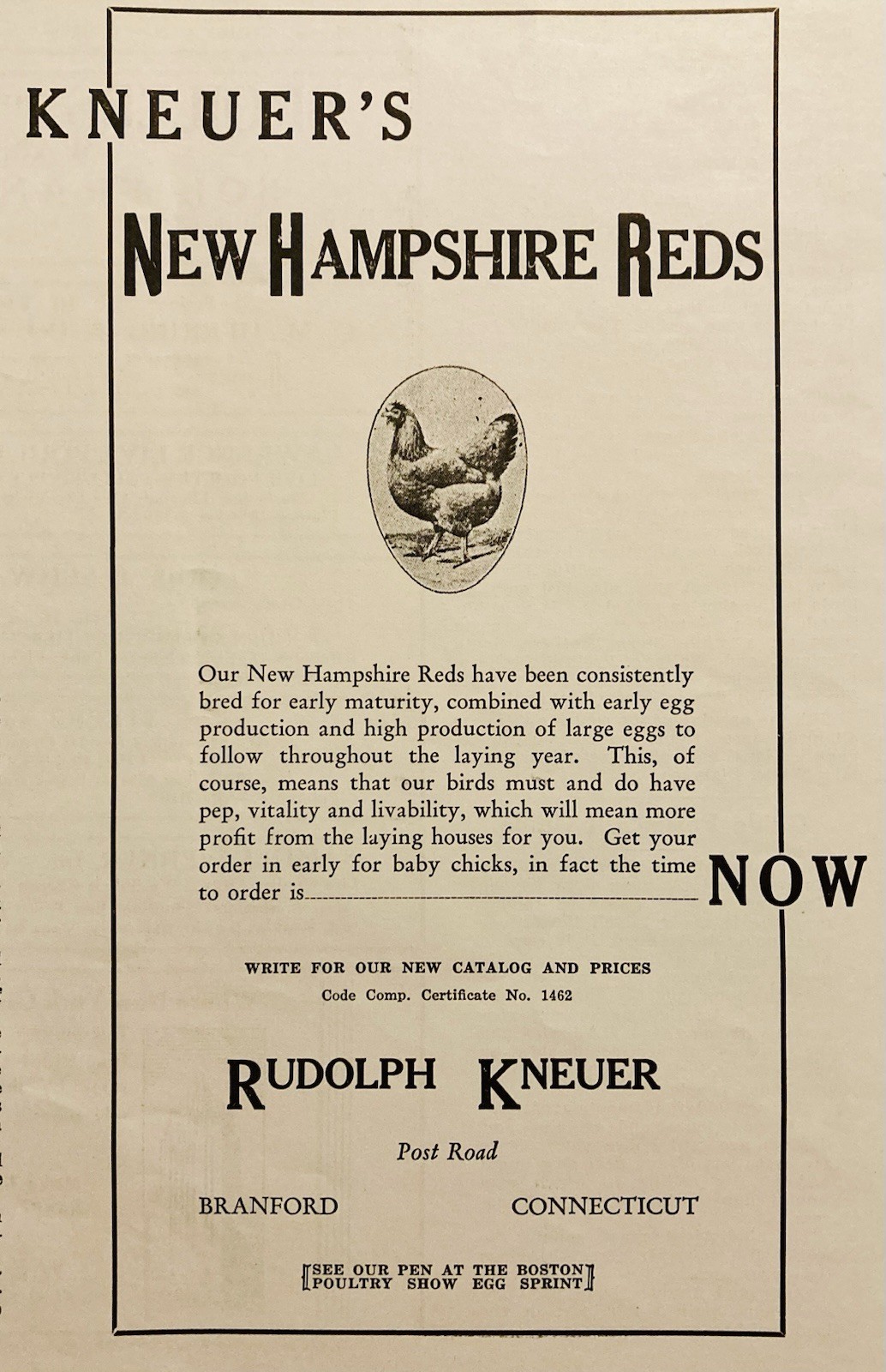 1934 AD.(XH82)~RUDOLPH KNEUER POULTRY FARM, BRANFORD, CONN. NEW HAMPSHIRE REDS