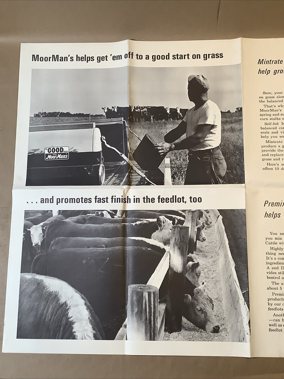 Vintage Moor Man’s Poster Quincy Illinois Piglets INV-AA01L