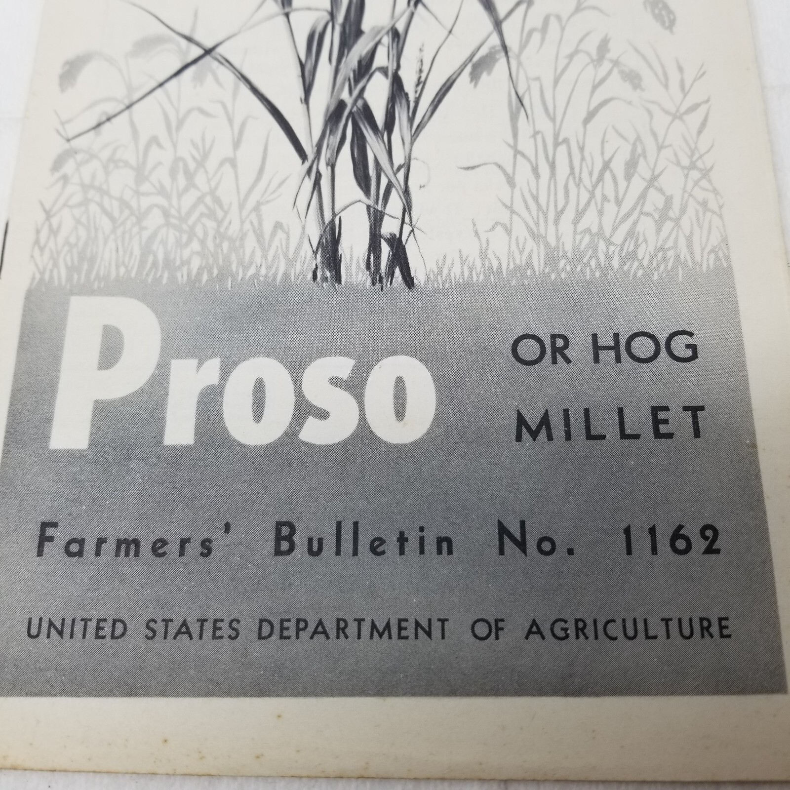 Proso Hog Millet 1937 Farmers’ Bulletin Booklet 1162 USDA Photos Charts