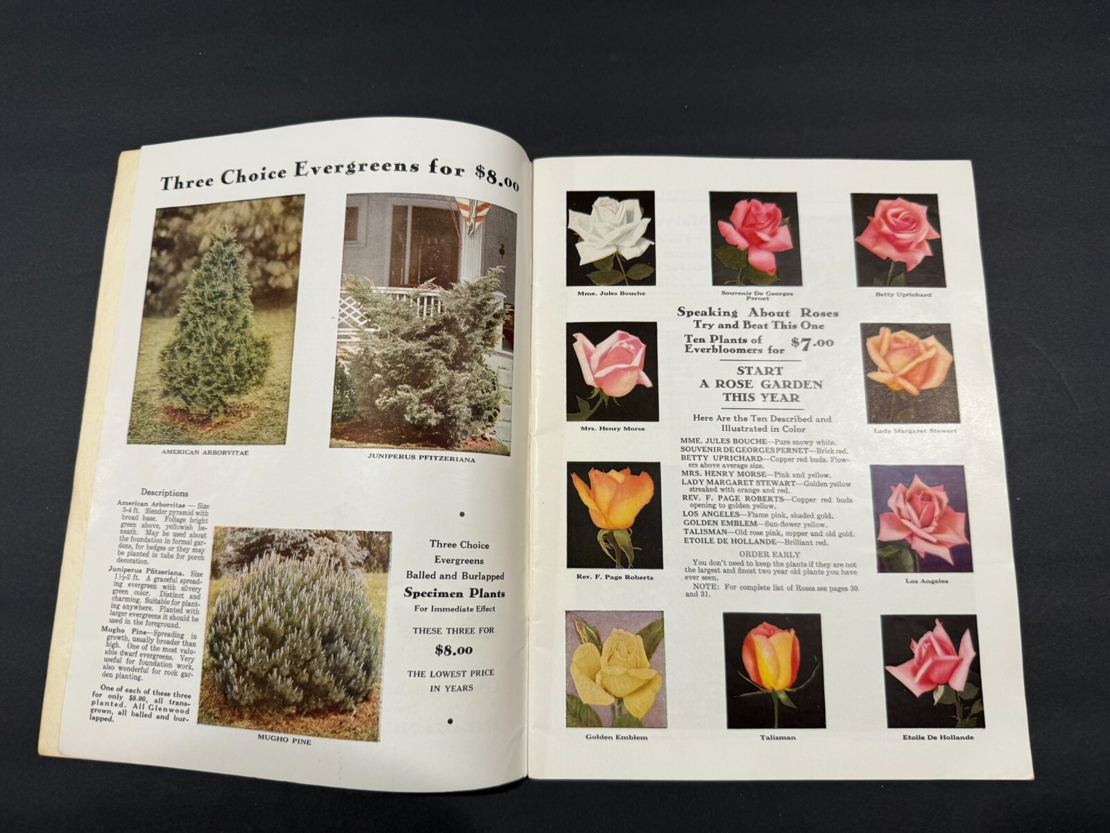 1930’s Glen Brothers & HB Burdick’s Fruit, Flowers, Seed Brochures…..2 Items