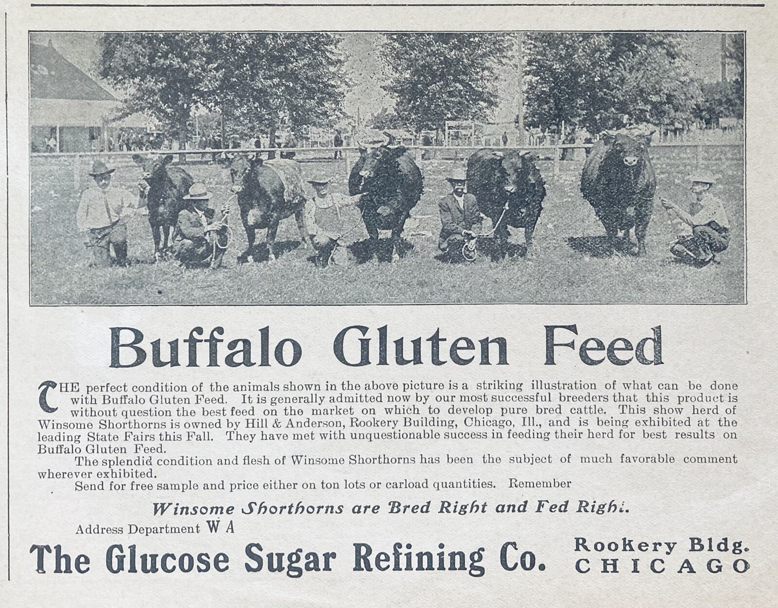 1904 AD.(XH29)~GLUCOSE SUGAR REFINING CO. CHICAGO. BUFFALO GLUTEN FEED