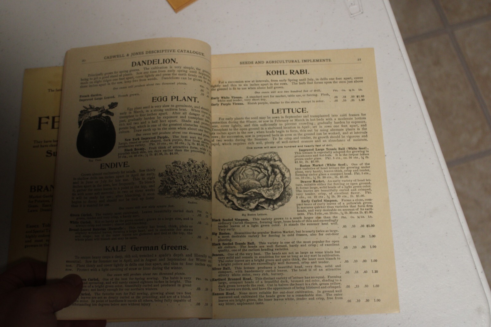 Vtg 1904 Advertising Catalog Caldwell & Jones Seeds & Agricultural Implements