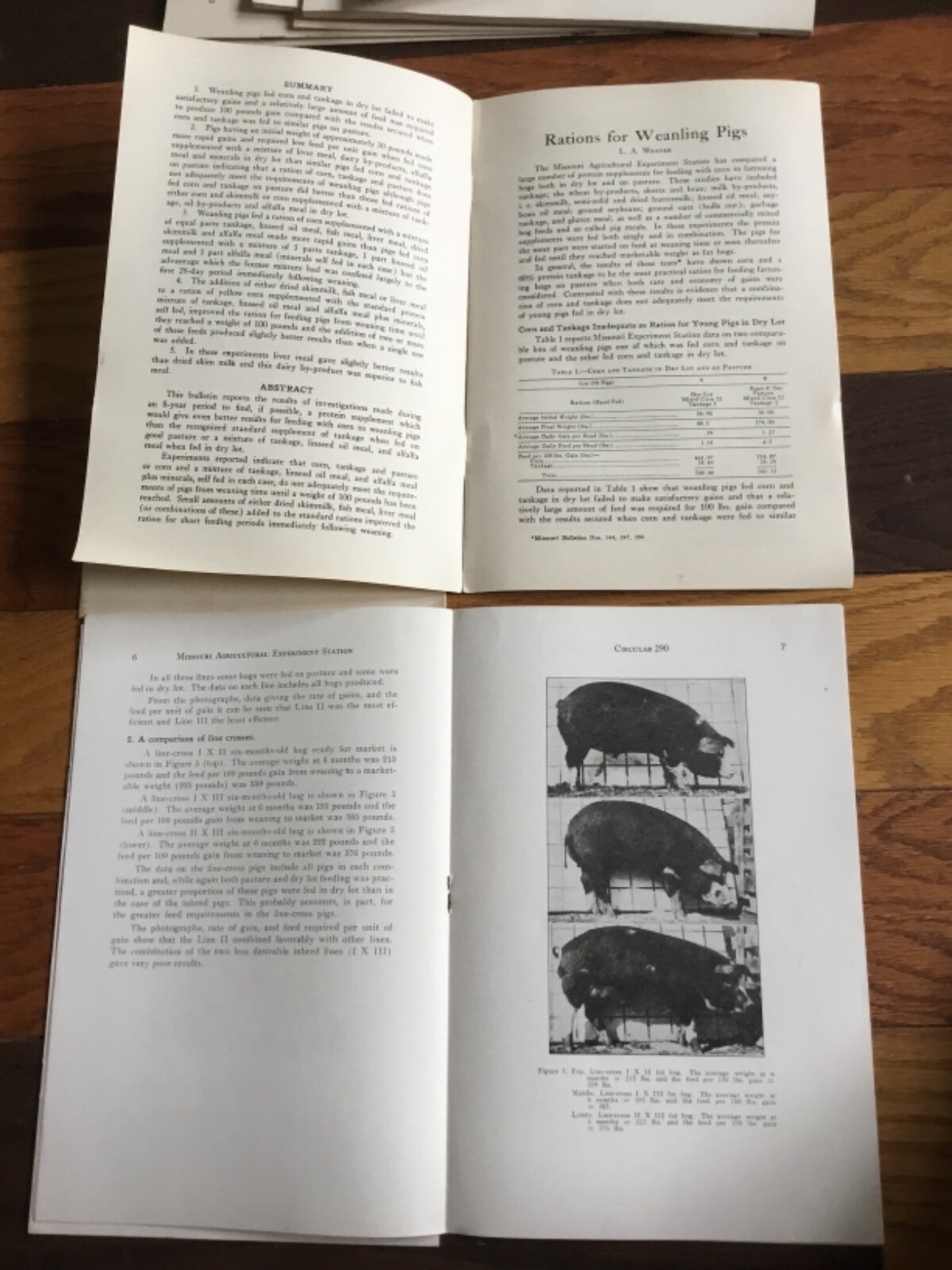 WWII Era Brochure x4 Univ. of MO Hog farming, weaning, efficiency + 1930’s-40’s