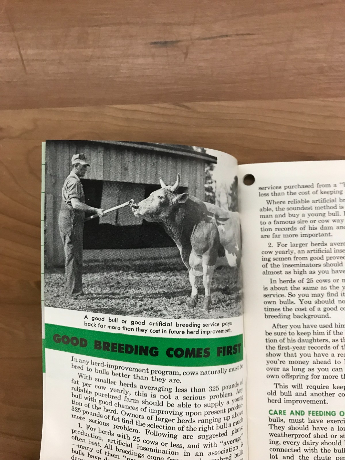 Vintage Purina Dairy Book – Building Your Herd’s Milk Making Capacity Booklet