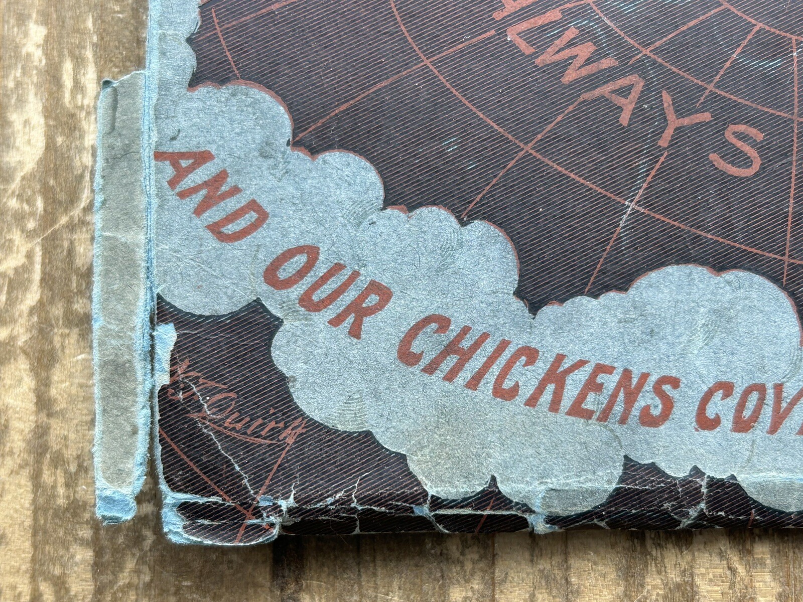 Antique Vintage 1904 CC SHOEMAKER’S ALMANAC CATALOG Poultry Advertising Freeport