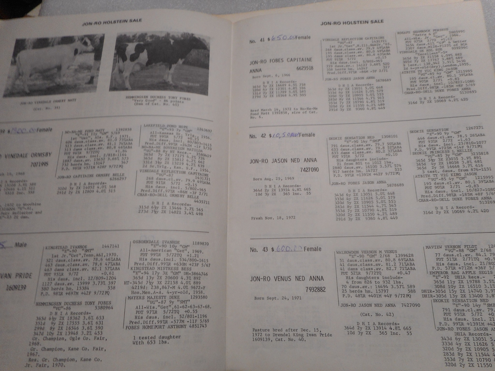 1973 St Charles Illinois Robert Johnsen Holstein Cattle Farm Sale Catalog