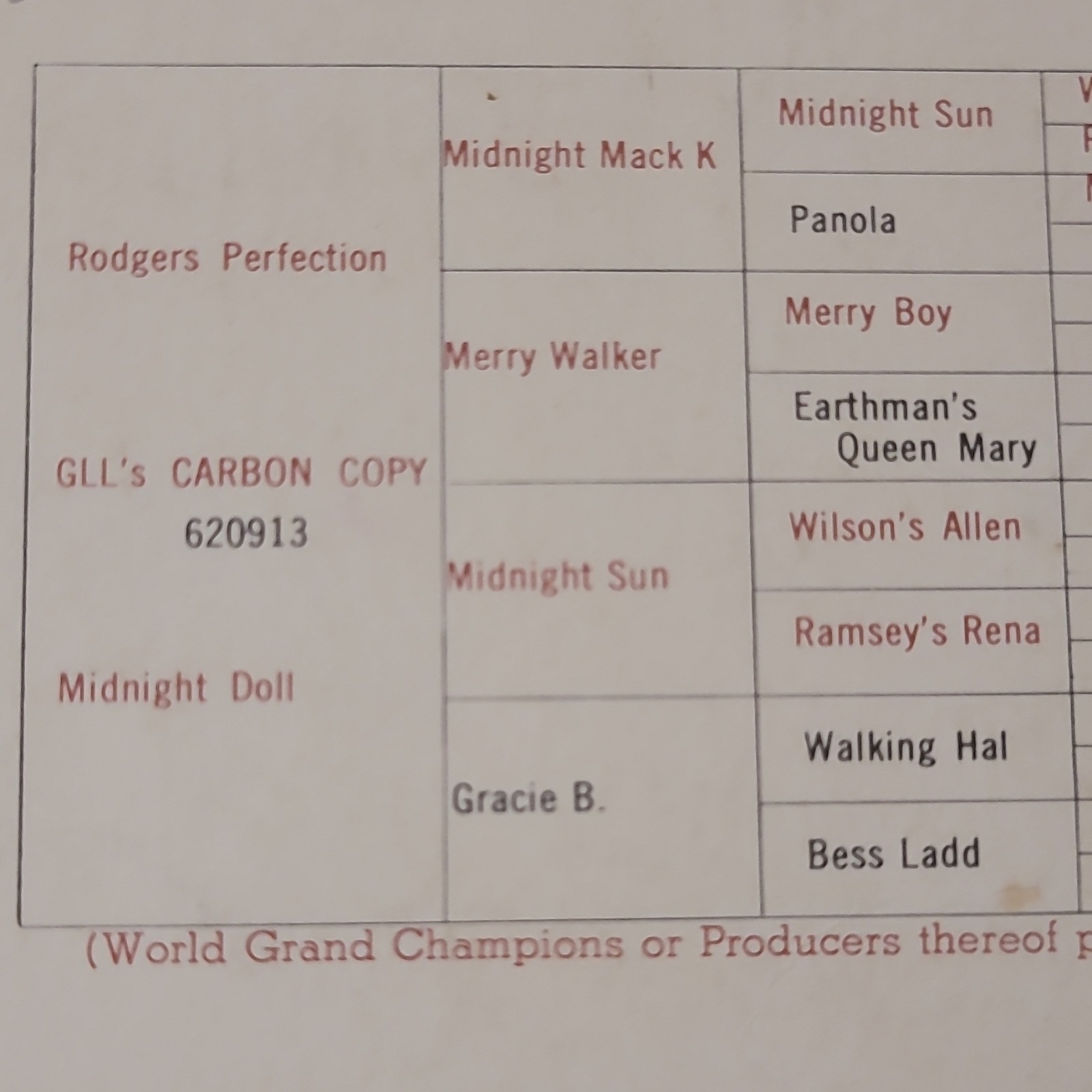 GLL Farms Carbon Copy Show Horse Breeding Brochure, Multicolor