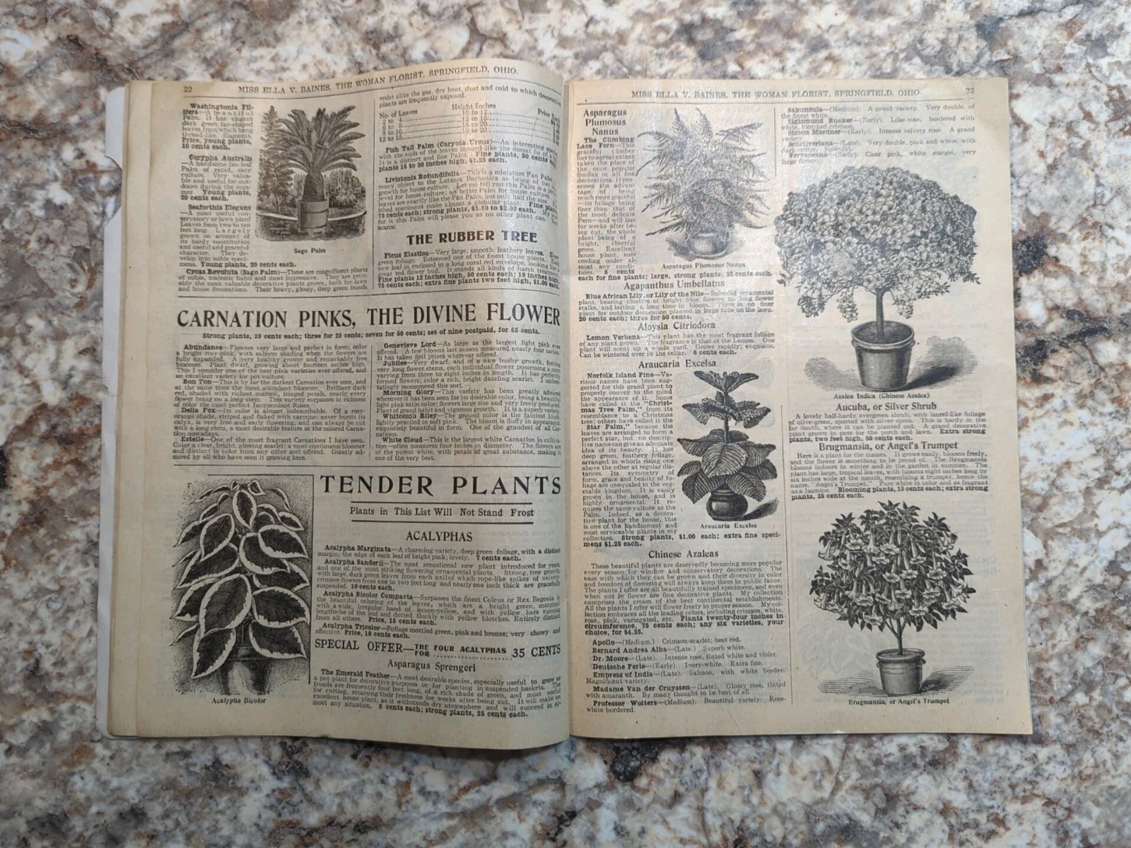 1910 The Woman Florist, Miss Ella V Baines Spring Illustrated Catalogue