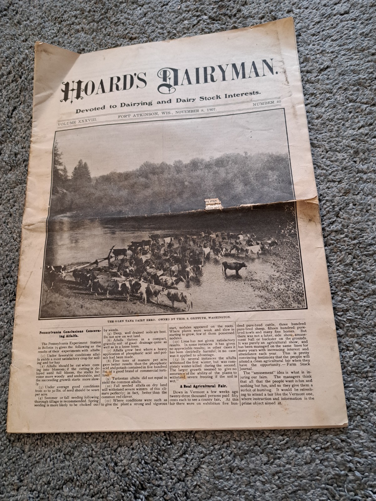 November 8 1907 Hoard’s Dairyman Newspaper Dairy Farming Magazine