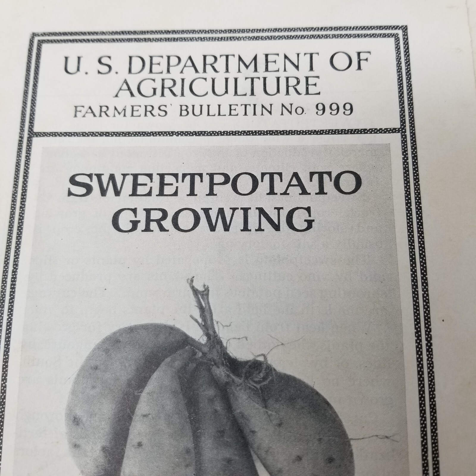 Sweet Potato Growing 1940 Farmers’ Bulletin Booklet 999 USDA Photos Charts