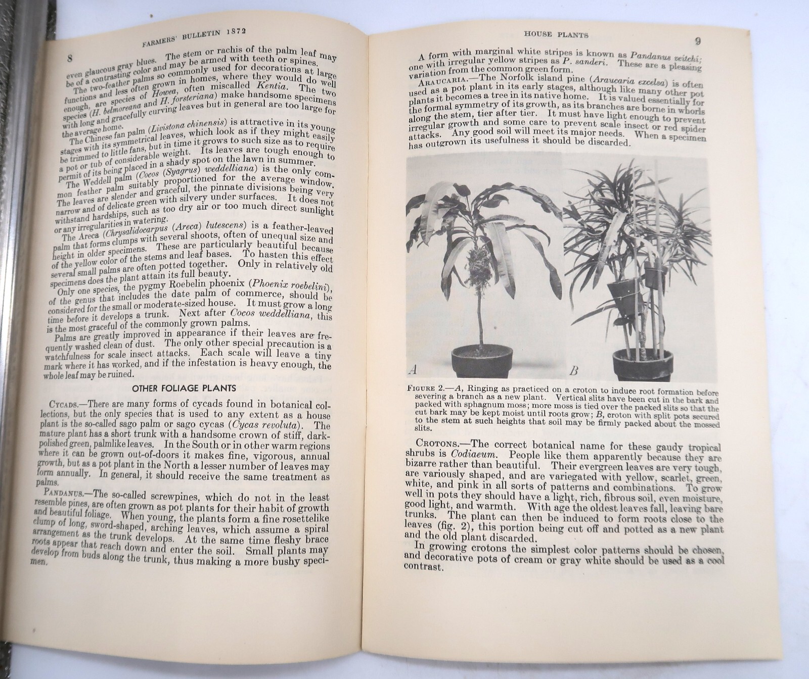 1941 USDA Farmers’ Bulletin No. 1872 House Plants Ephemera Furman Lloyd Mulford